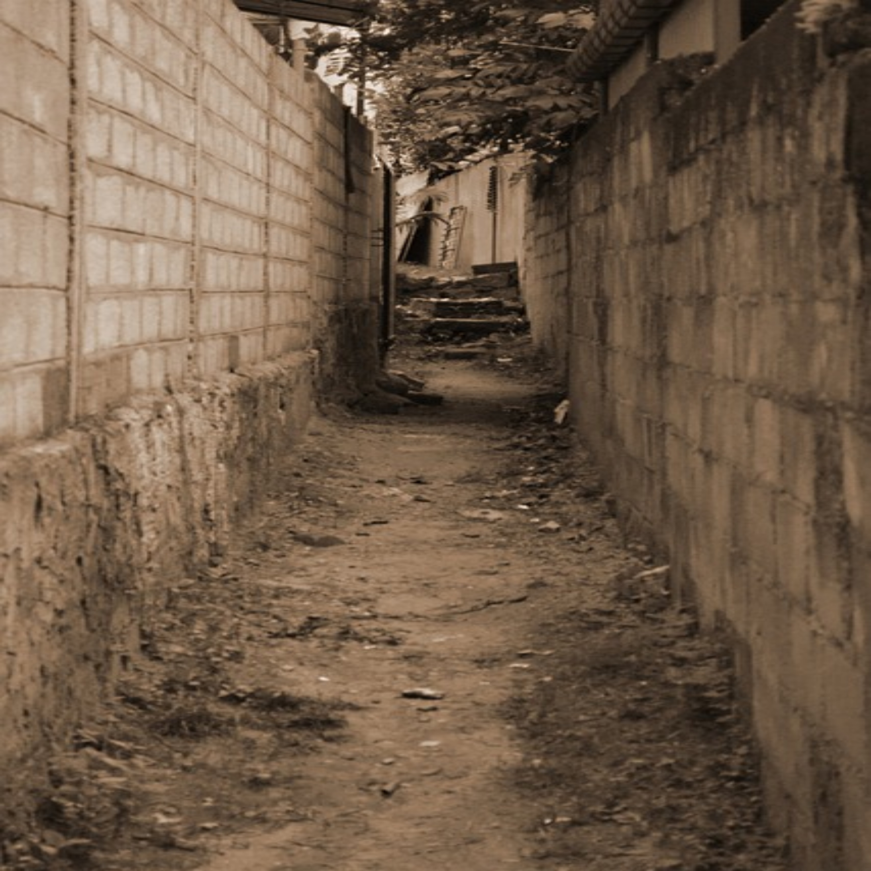 The Way artwork