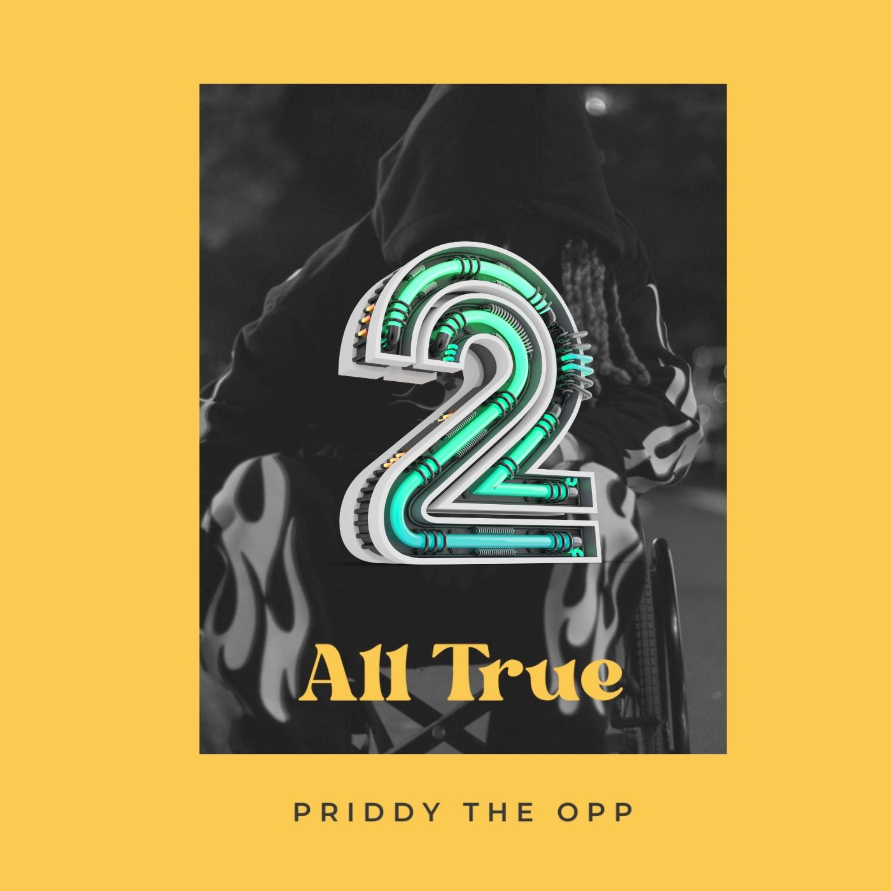 ALL TRUE 2 by Priddy the Opp cover art