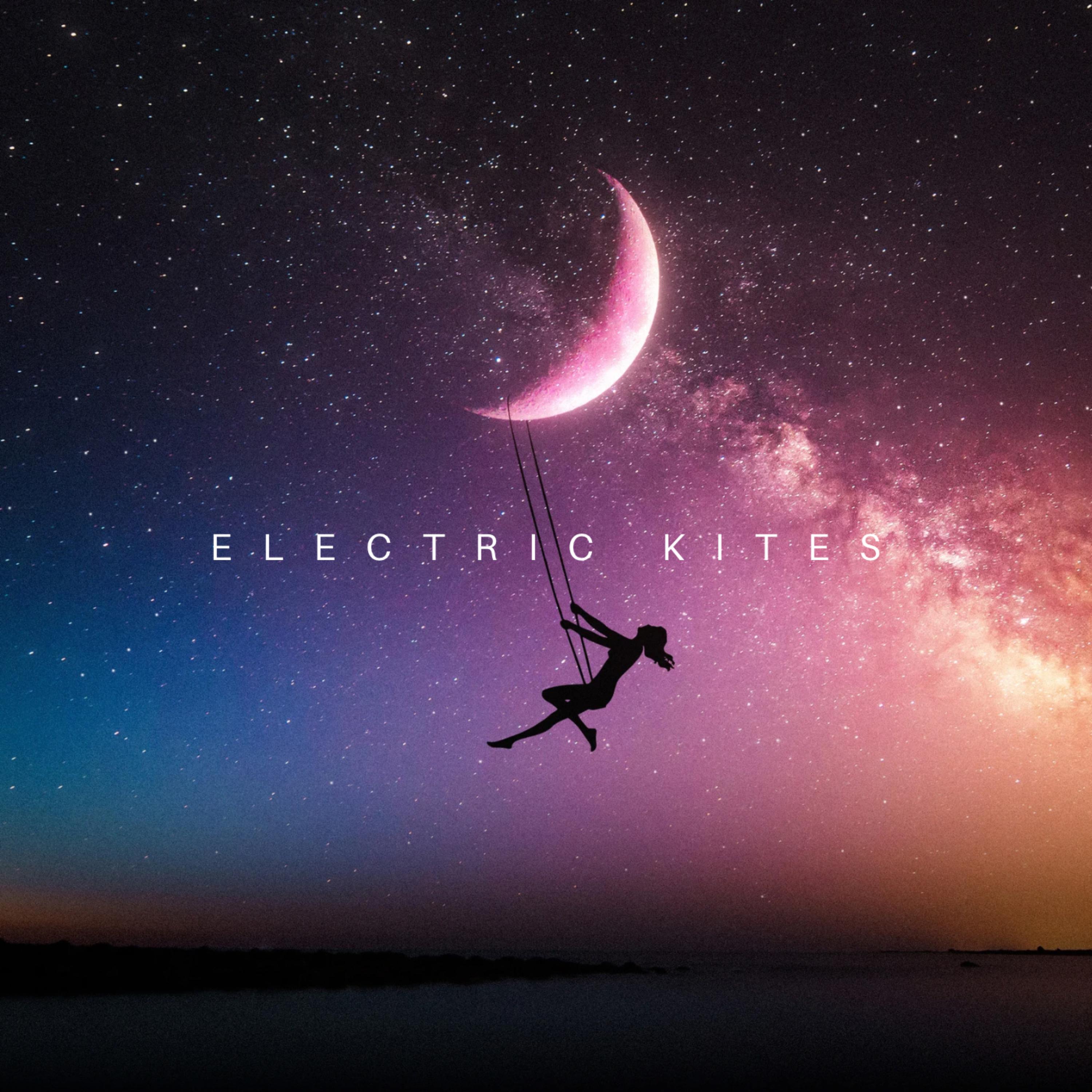 Electric Kites artwork