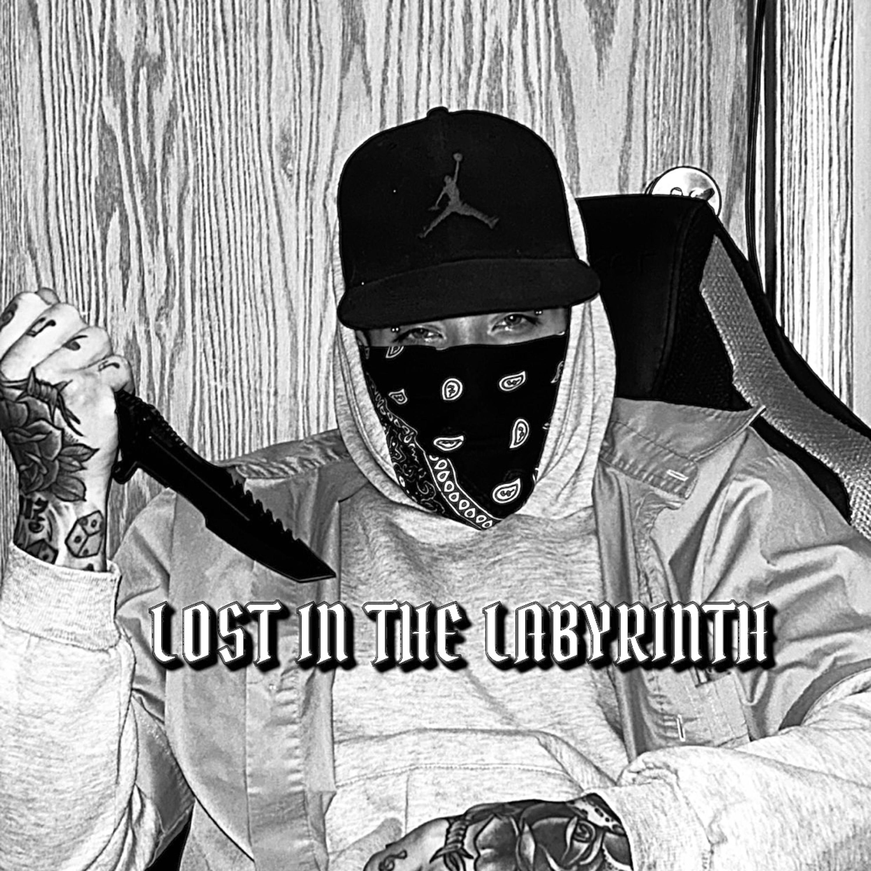 LOST IN THE LABYRINTH artwork