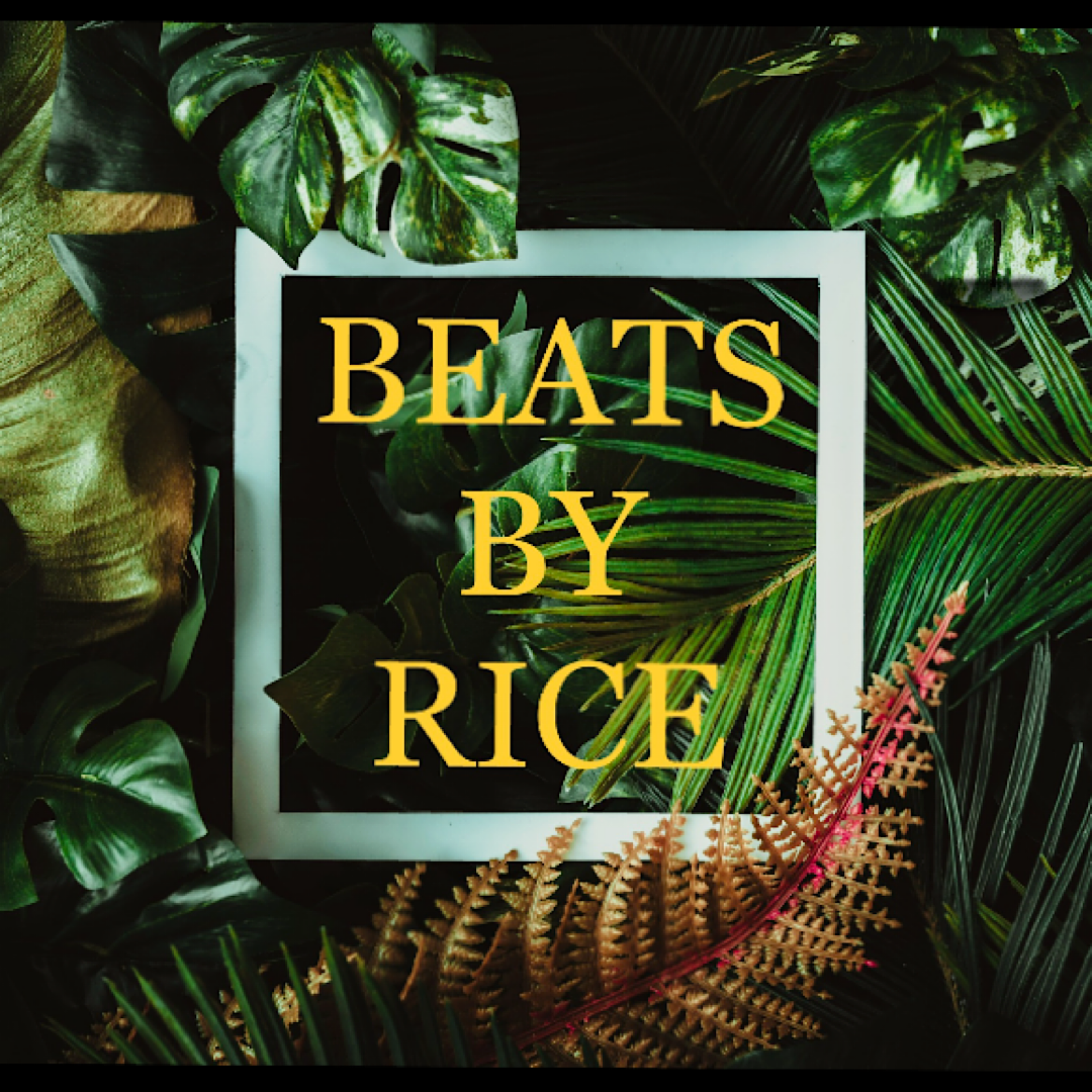 BEATS by RICE artwork