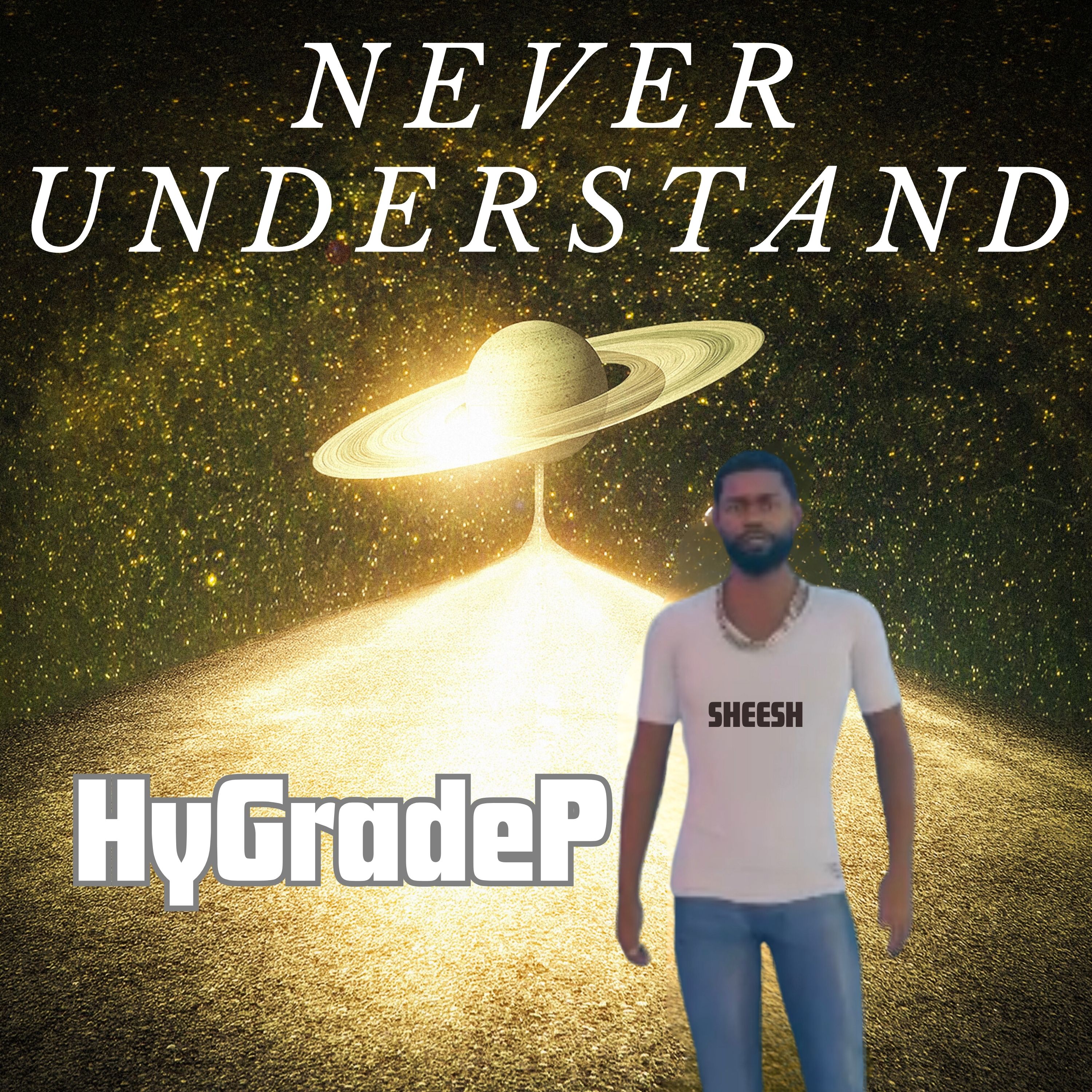 Never Understand artwork
