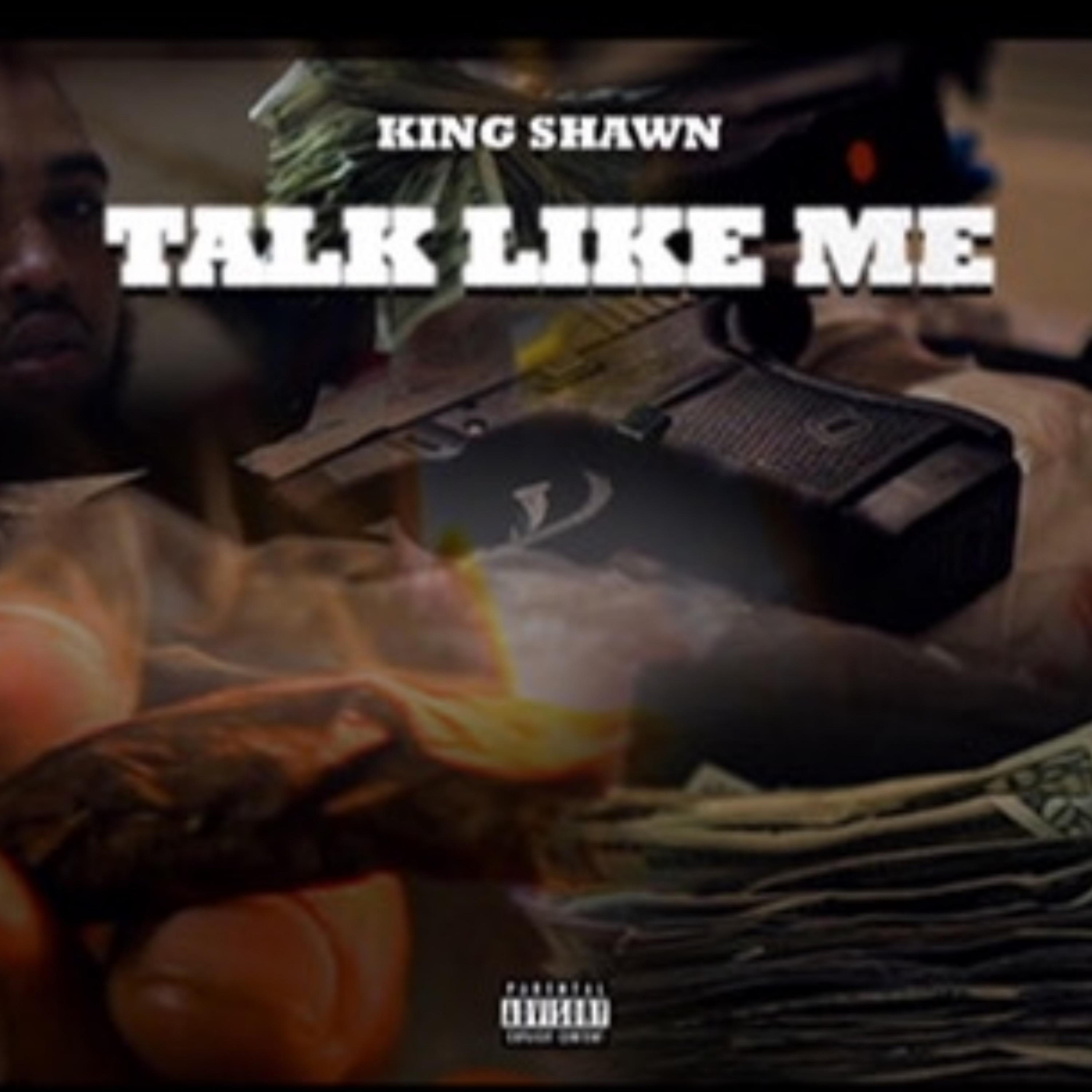 Talk Like Me artwork