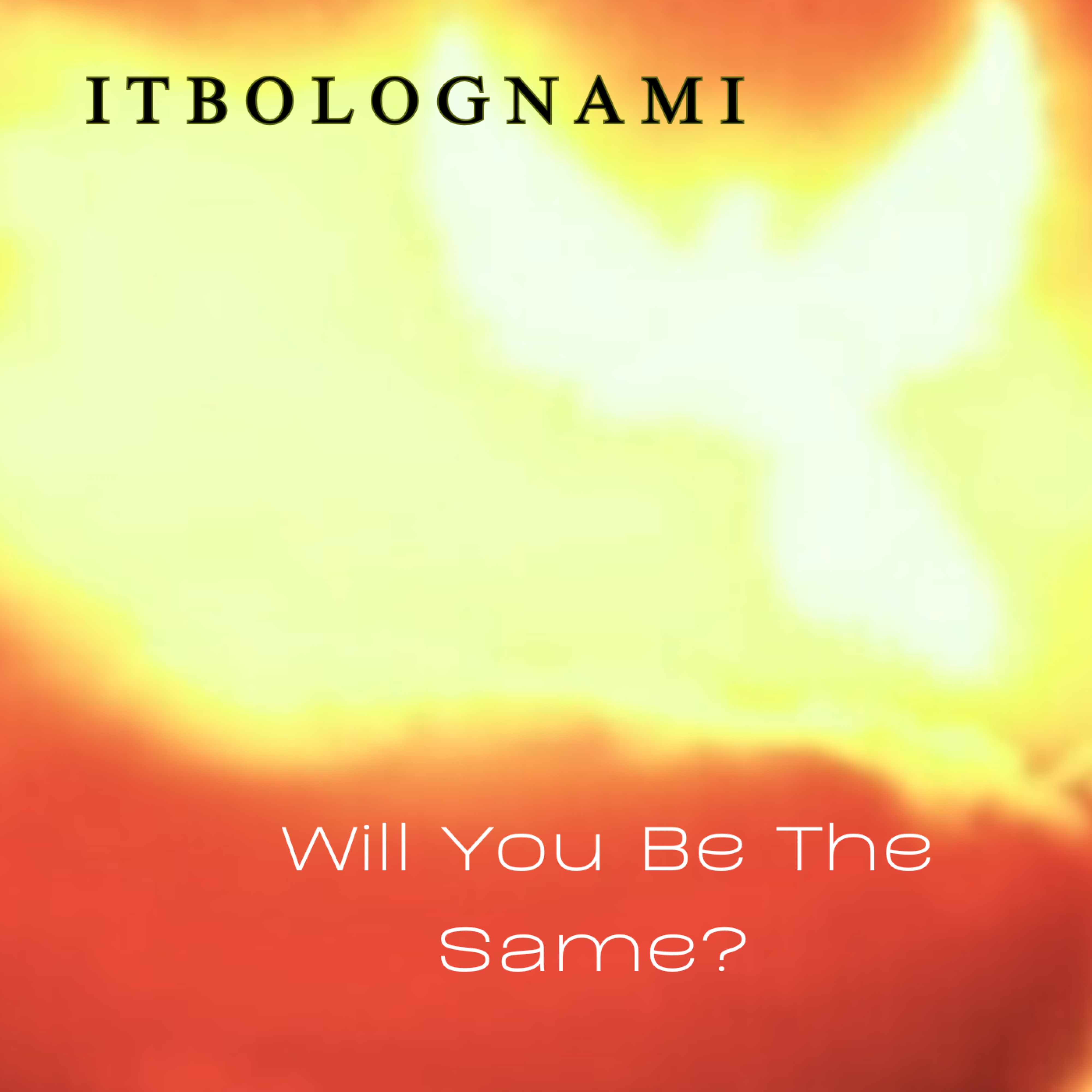 …. Will You Be The Same? artwork