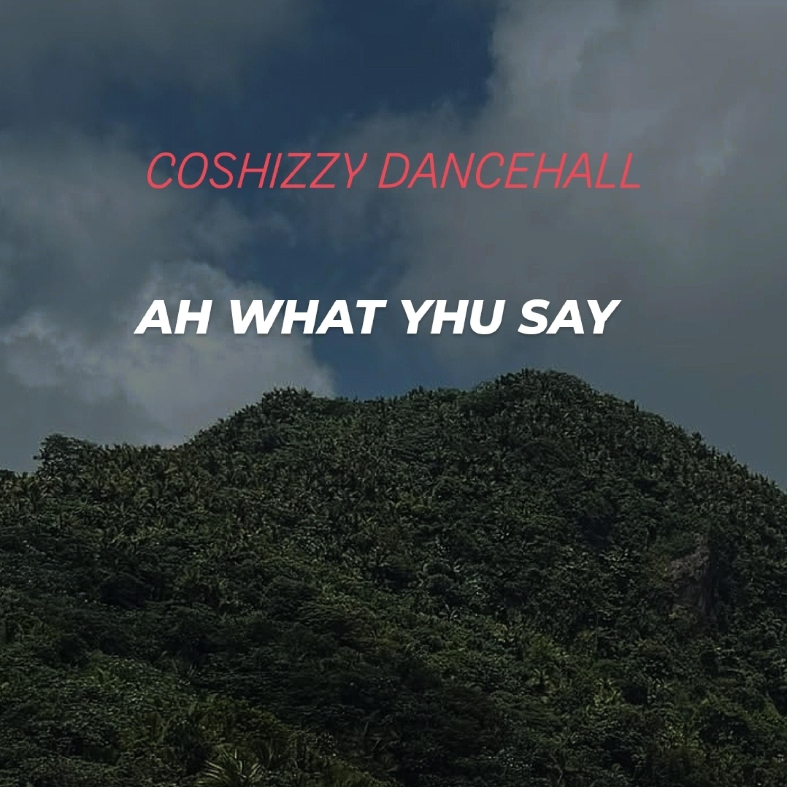 WHAT YHU SAY PART ll (DANCEHALL EDITION) by coshizzy cover art