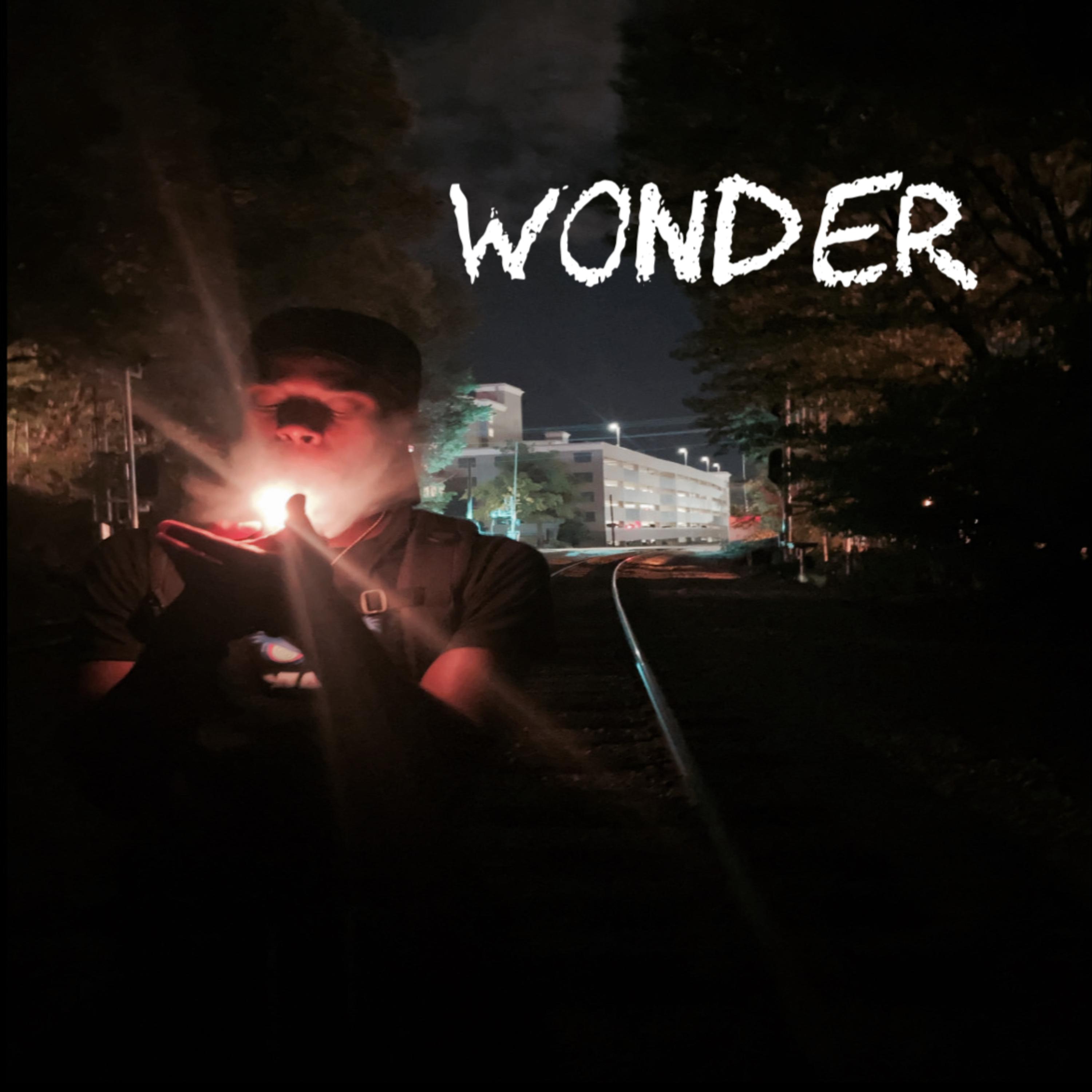 Wonder artwork