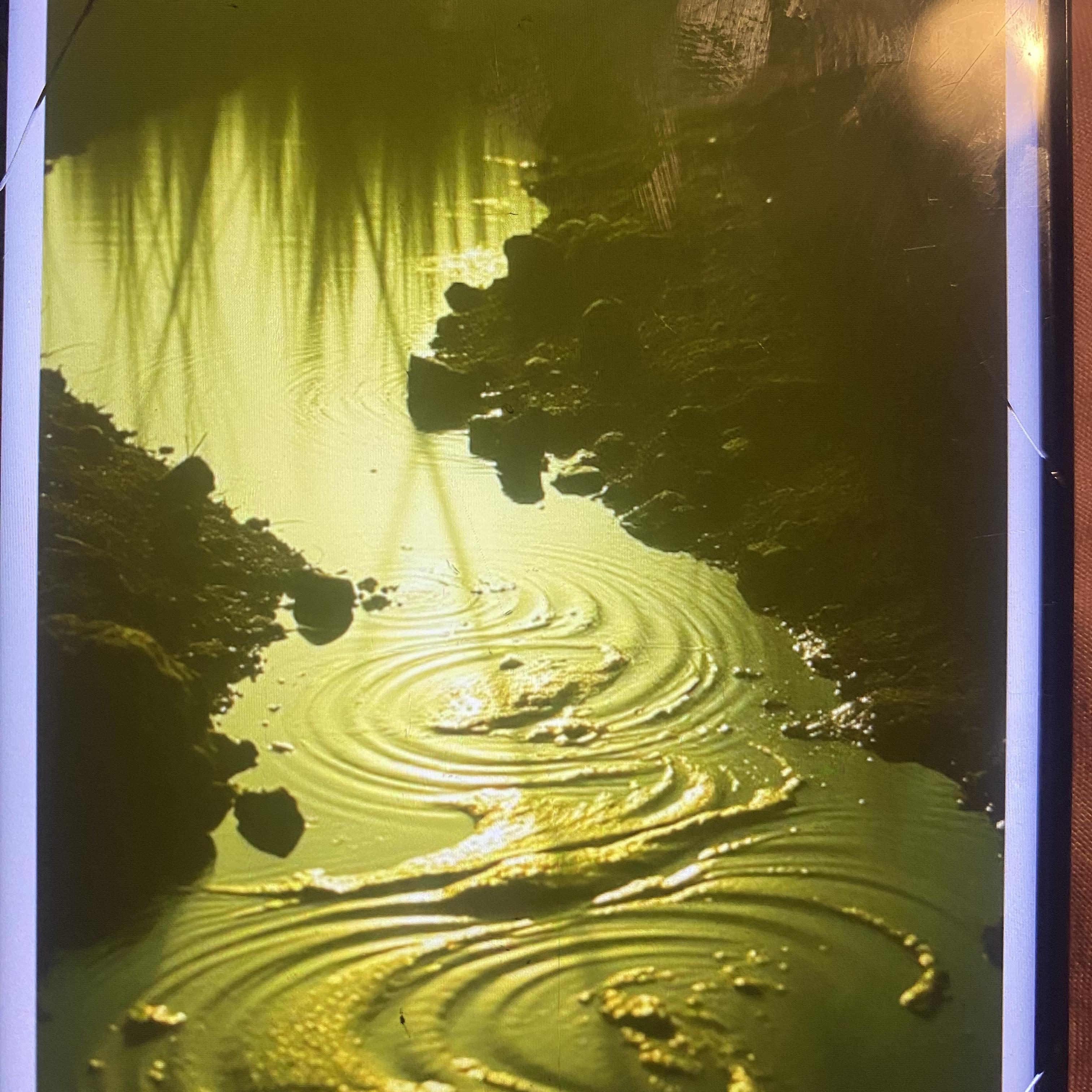 Yellow In The Water artwork
