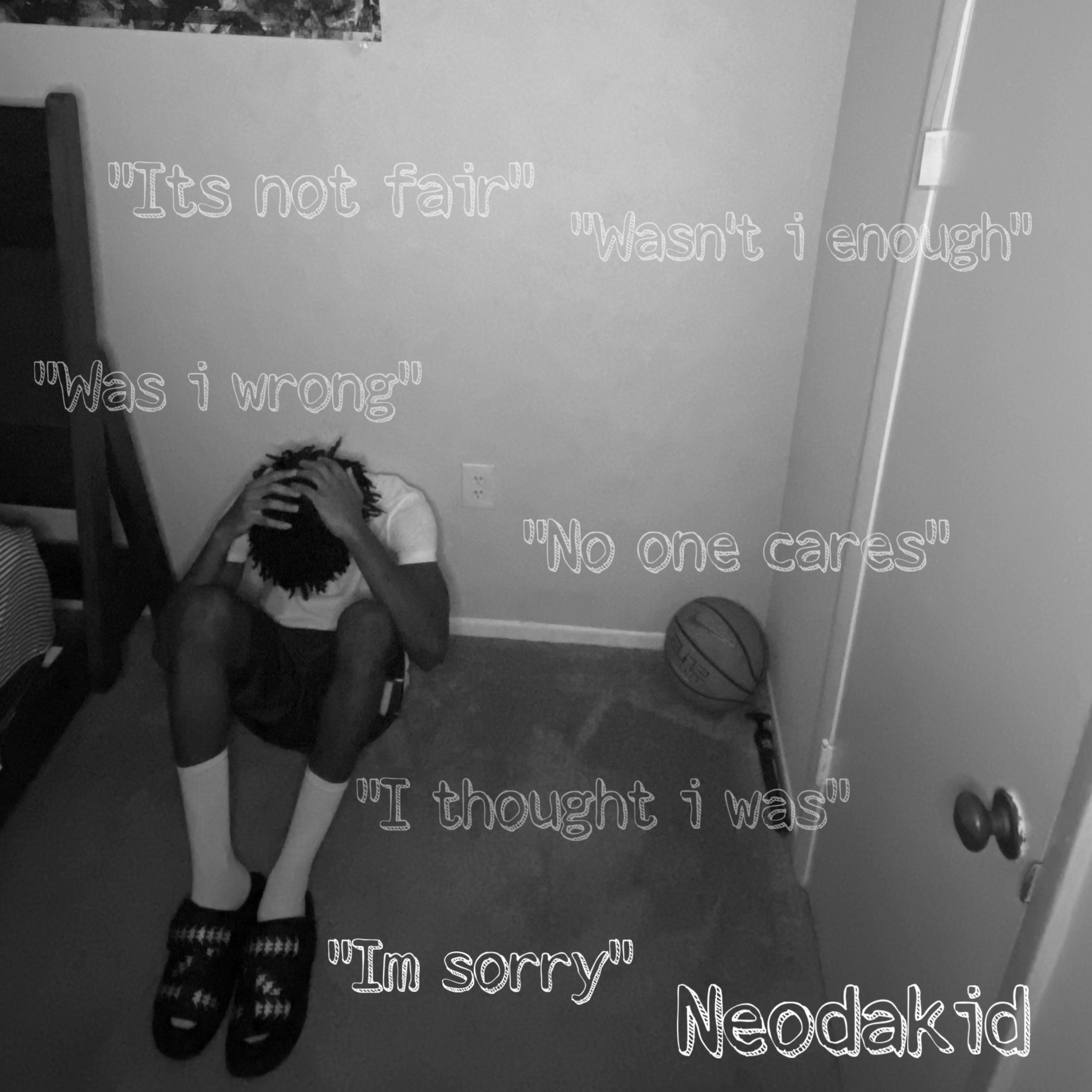 Im Sorry artwork