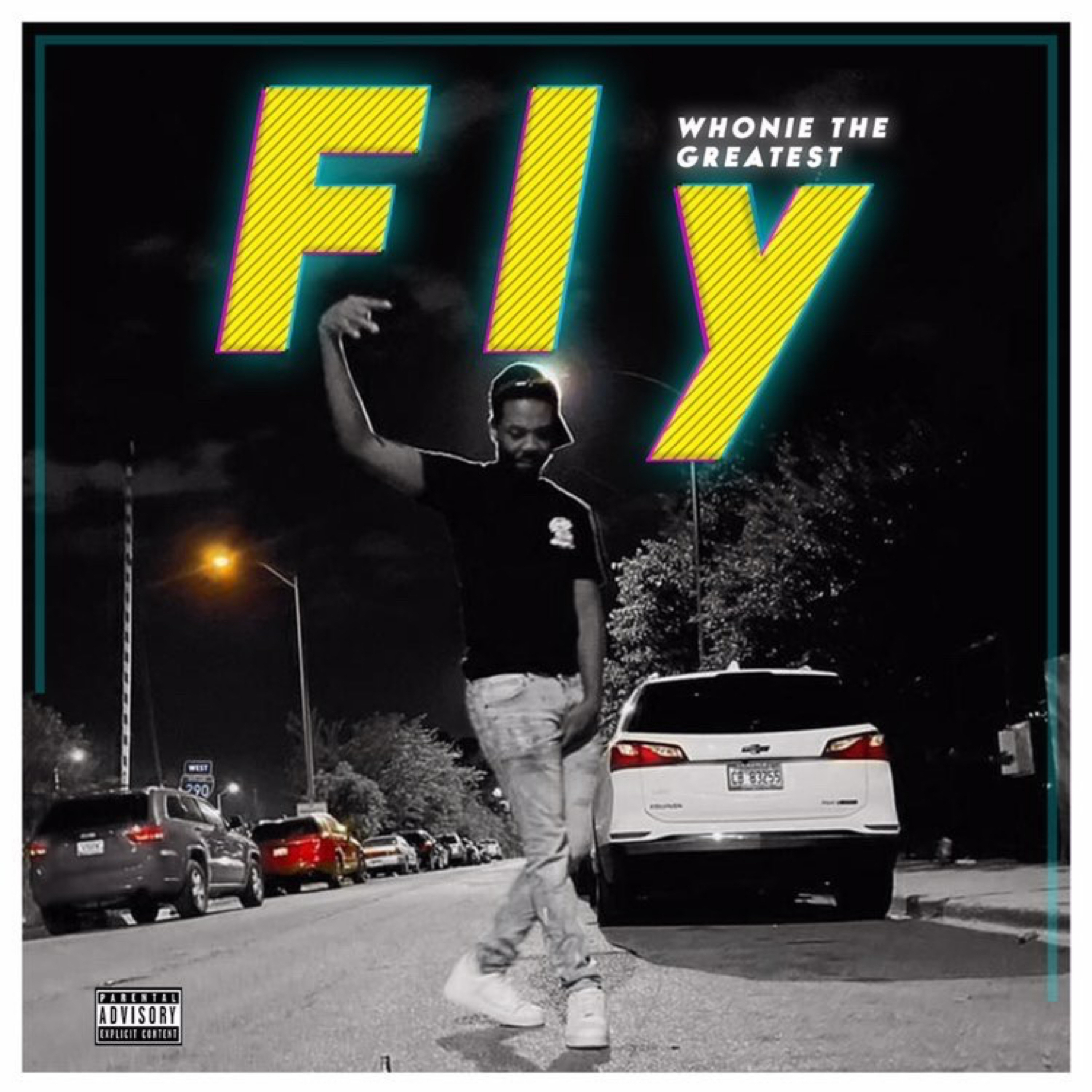 Fly artwork