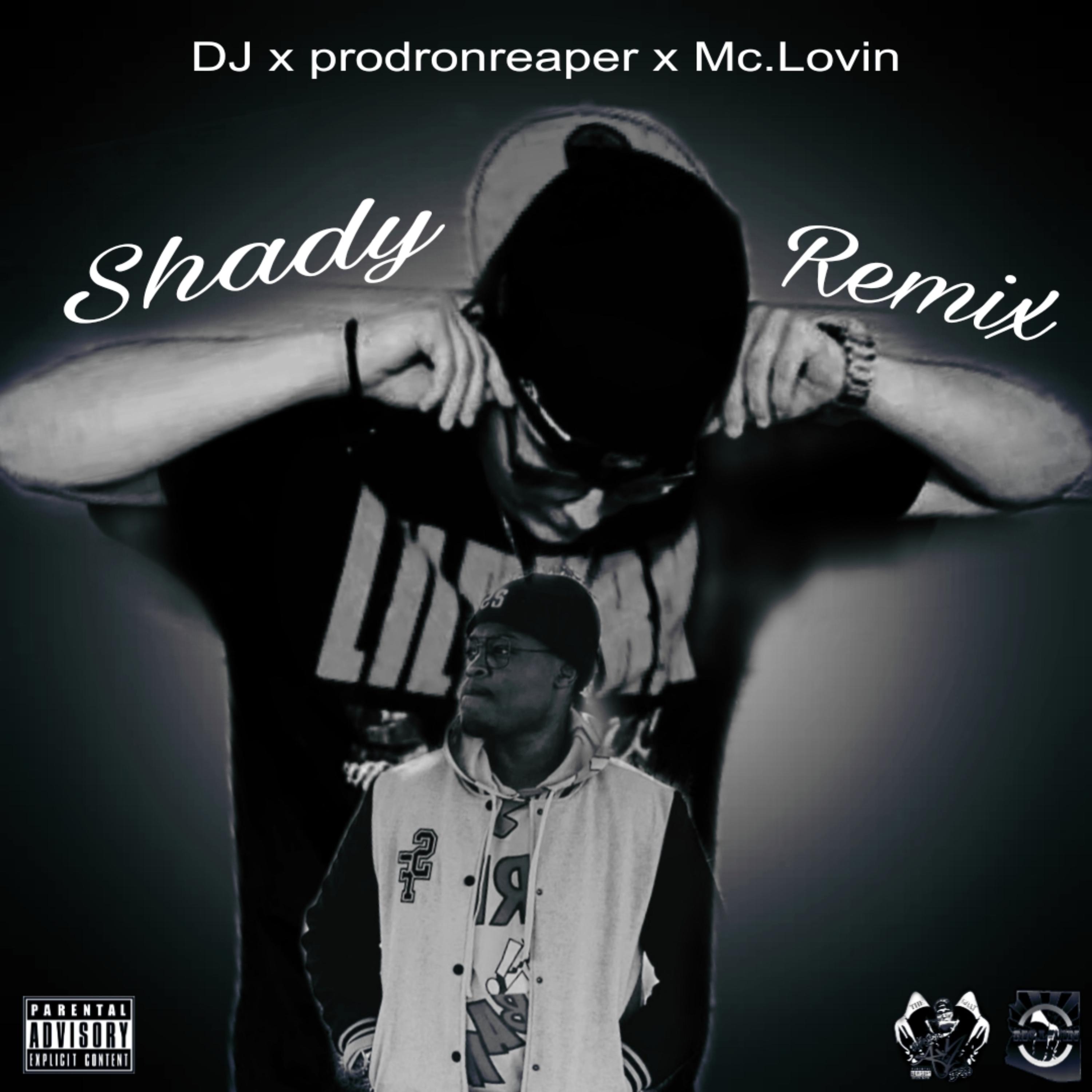 Shady (Remix) artwork