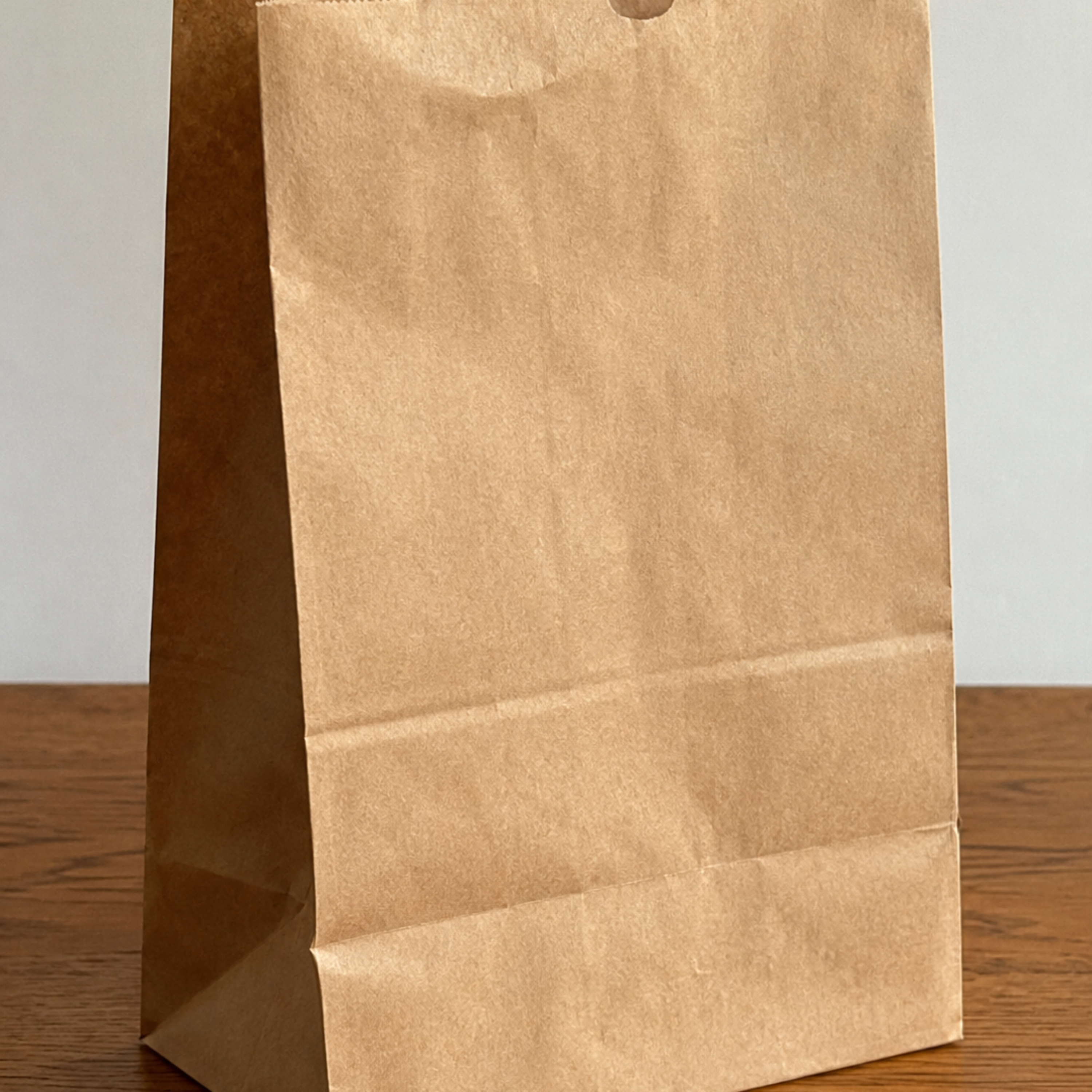 Bag Bag by KiddDae cover art