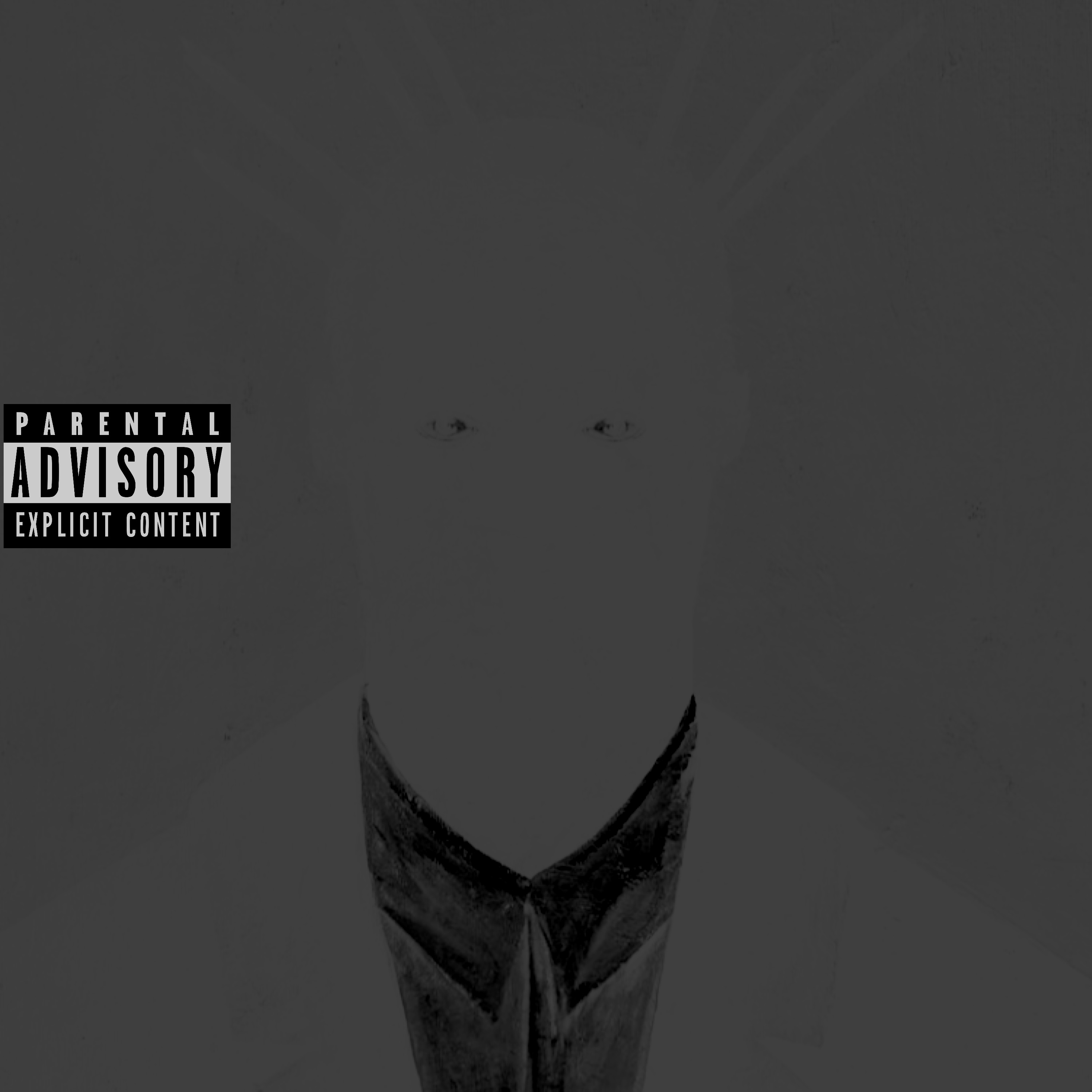Not An Album artwork