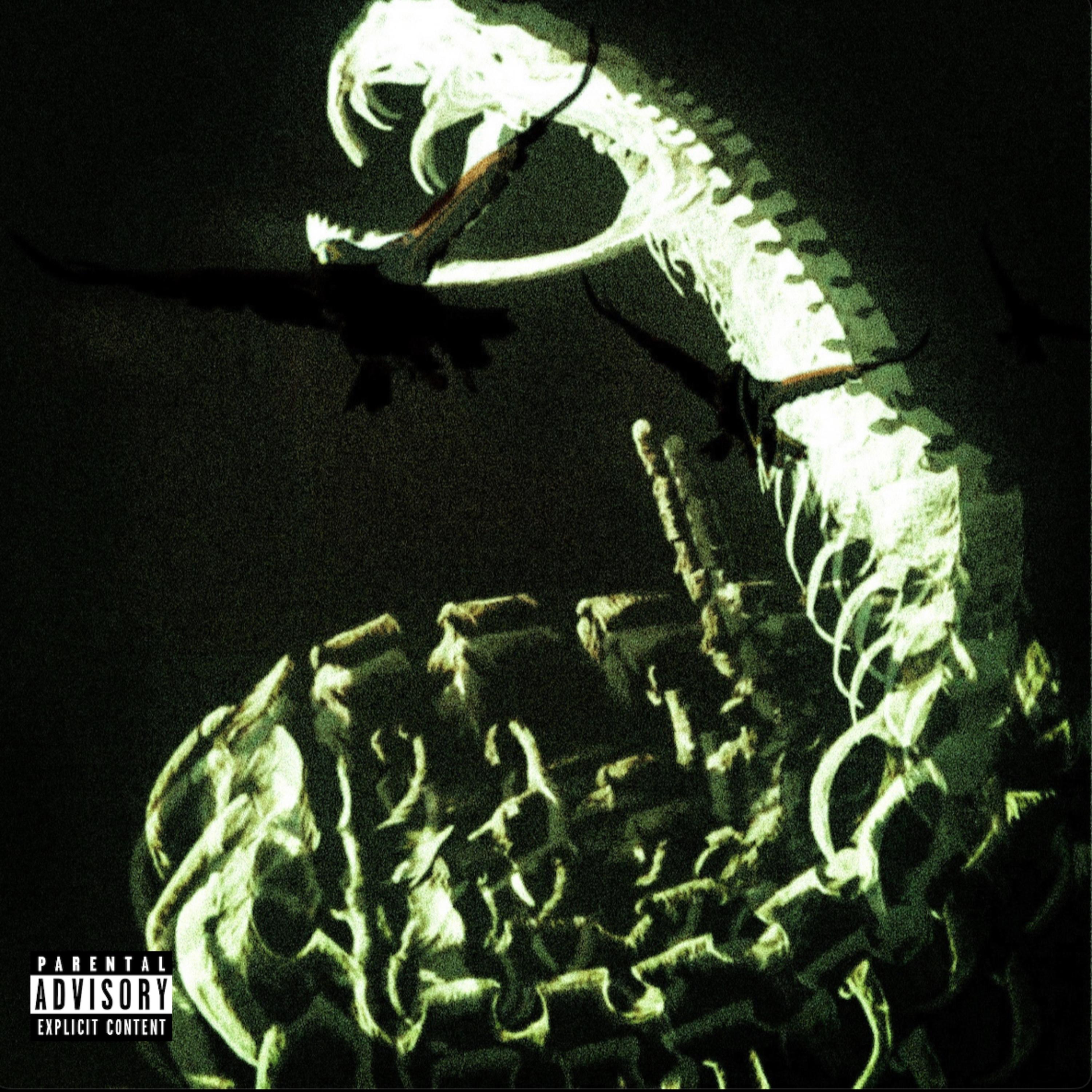 INVERTABRATES artwork
