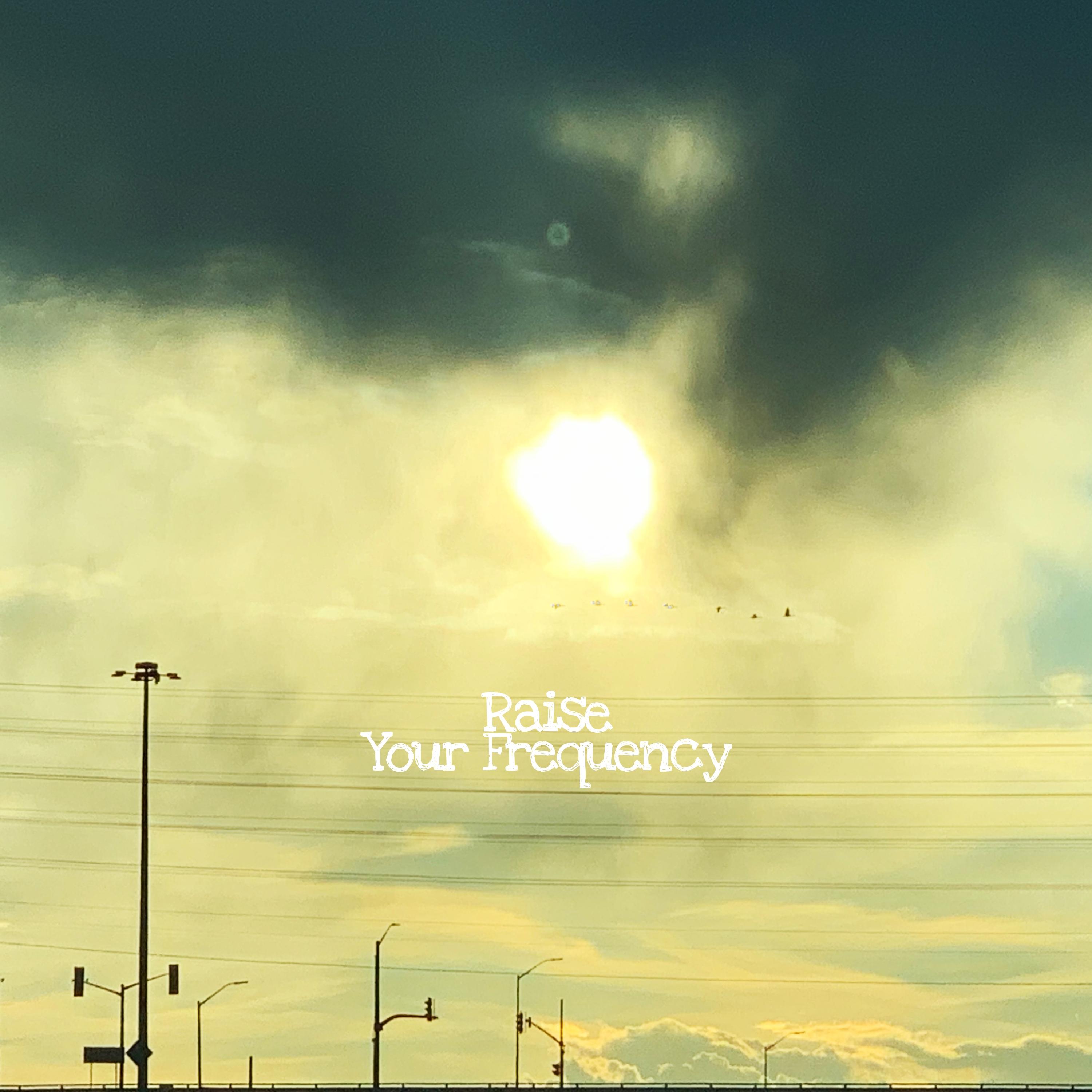 Raise Your Frequency (Instrumental) artwork