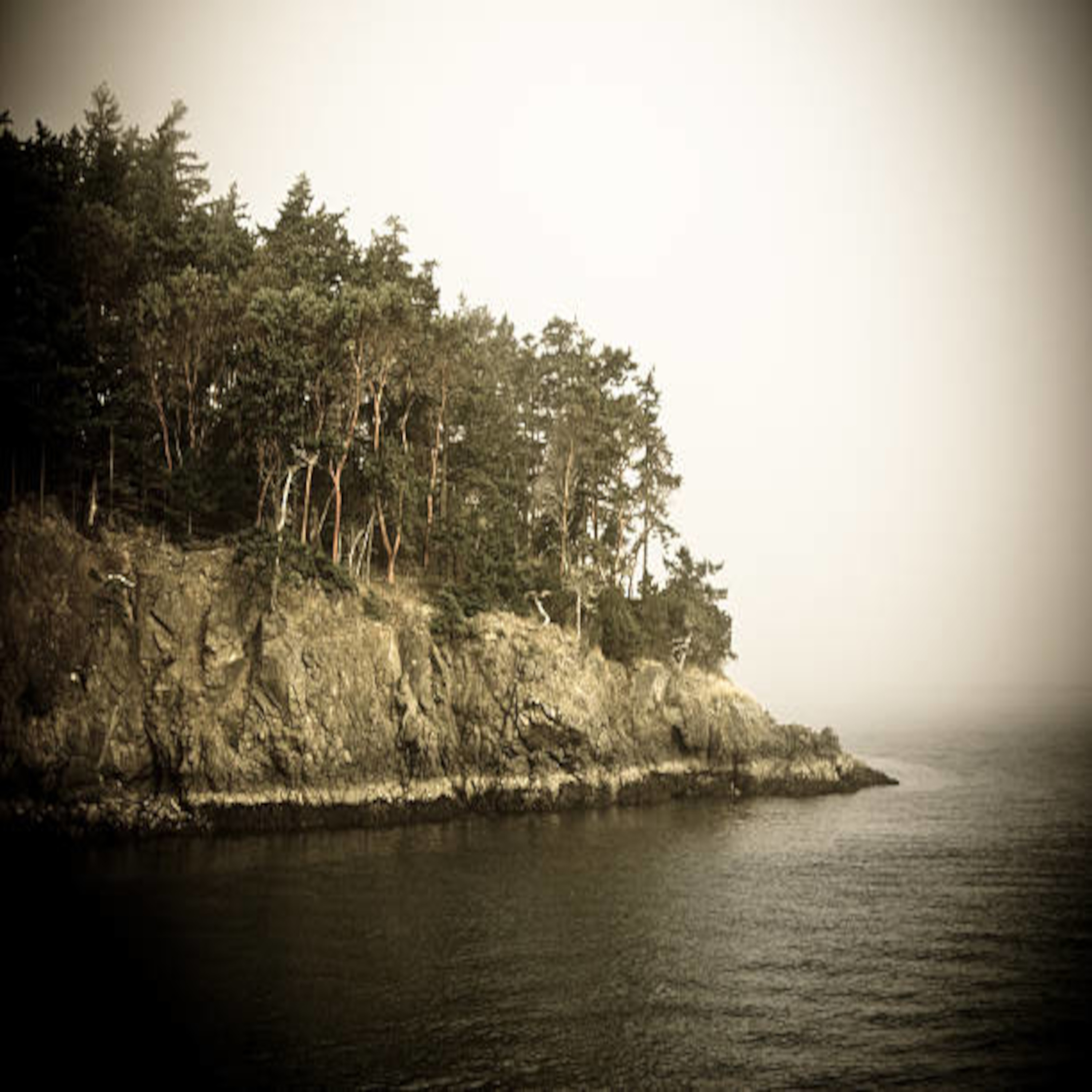 what would you bring to a deserted island? artwork