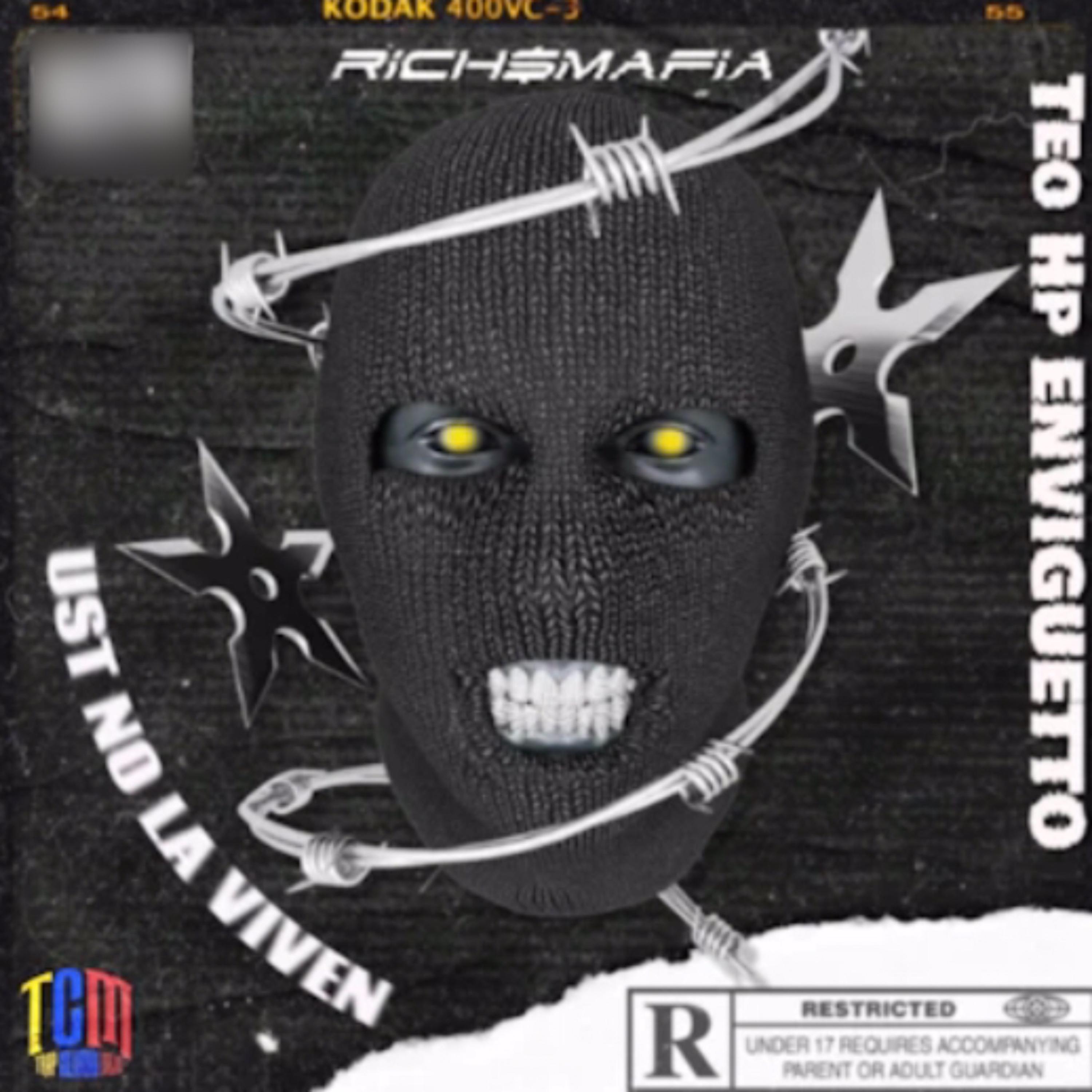 USTEDES NO LA VIVEN artwork