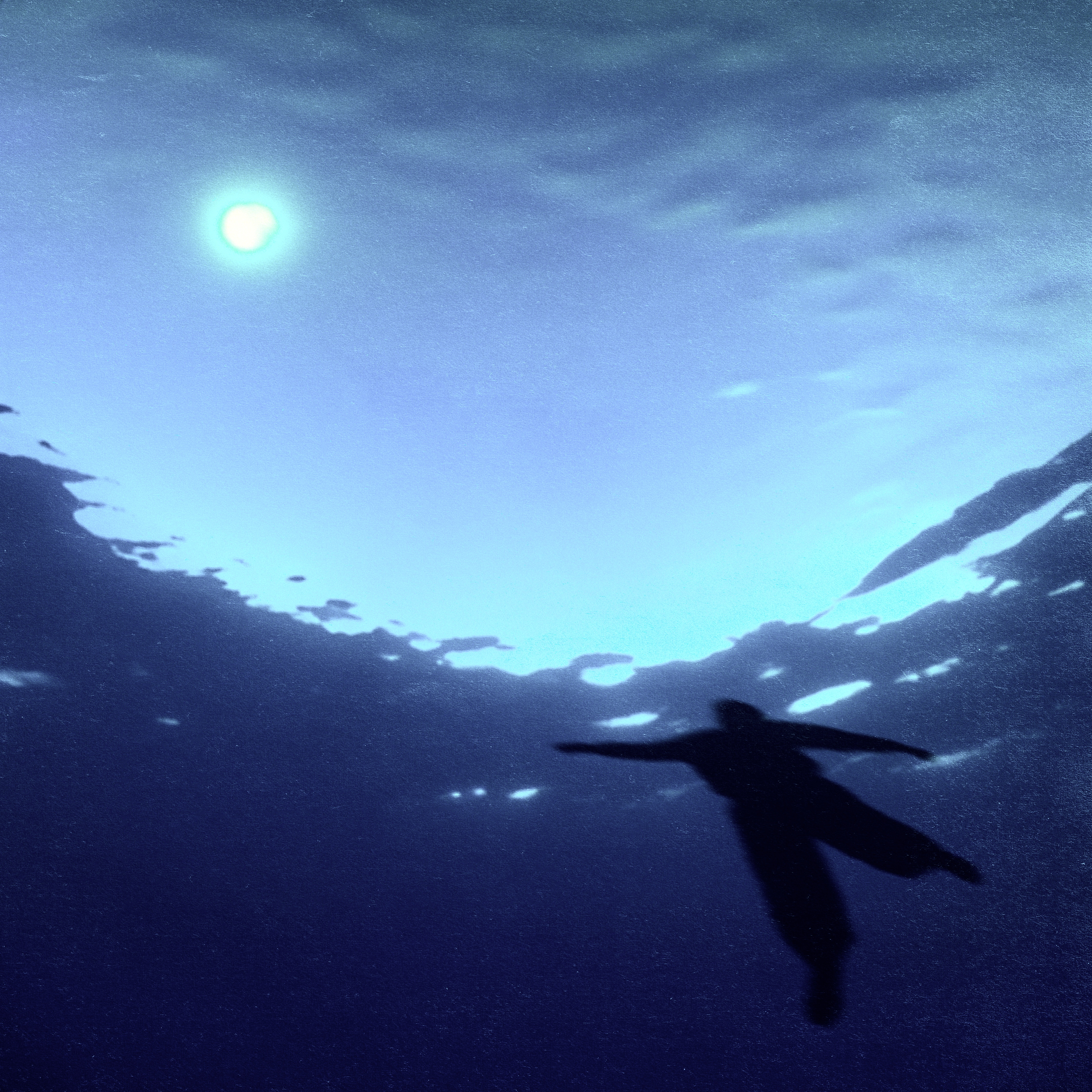 i might drown artwork
