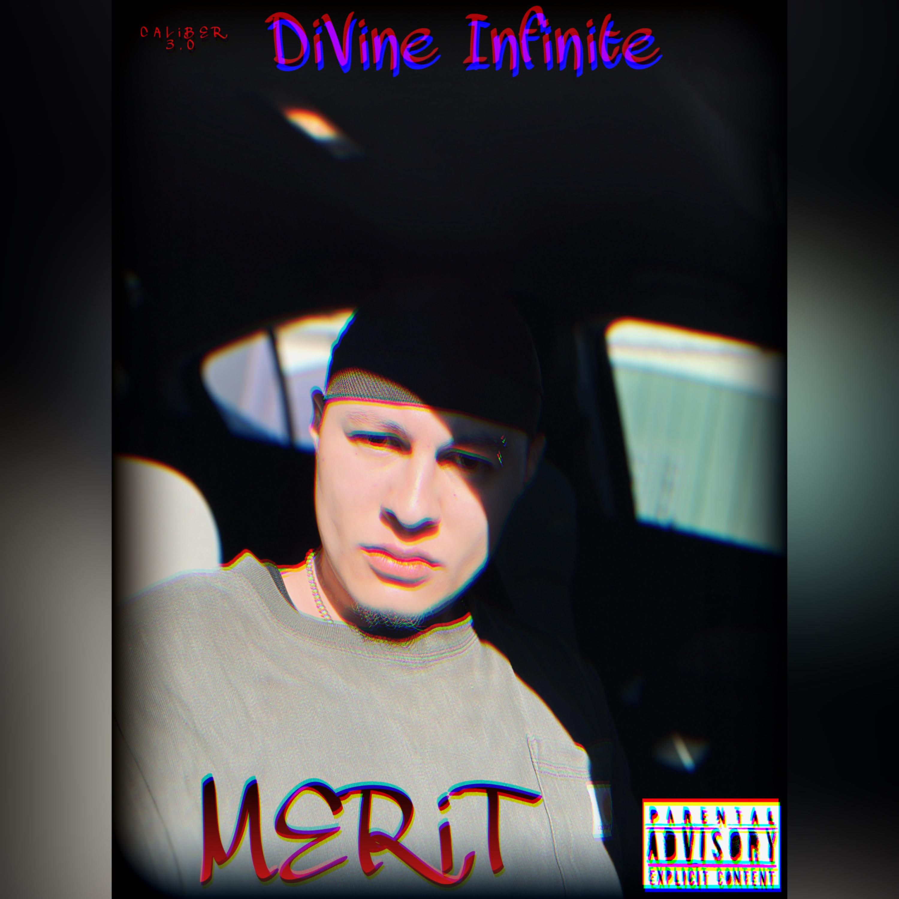 MERiT artwork