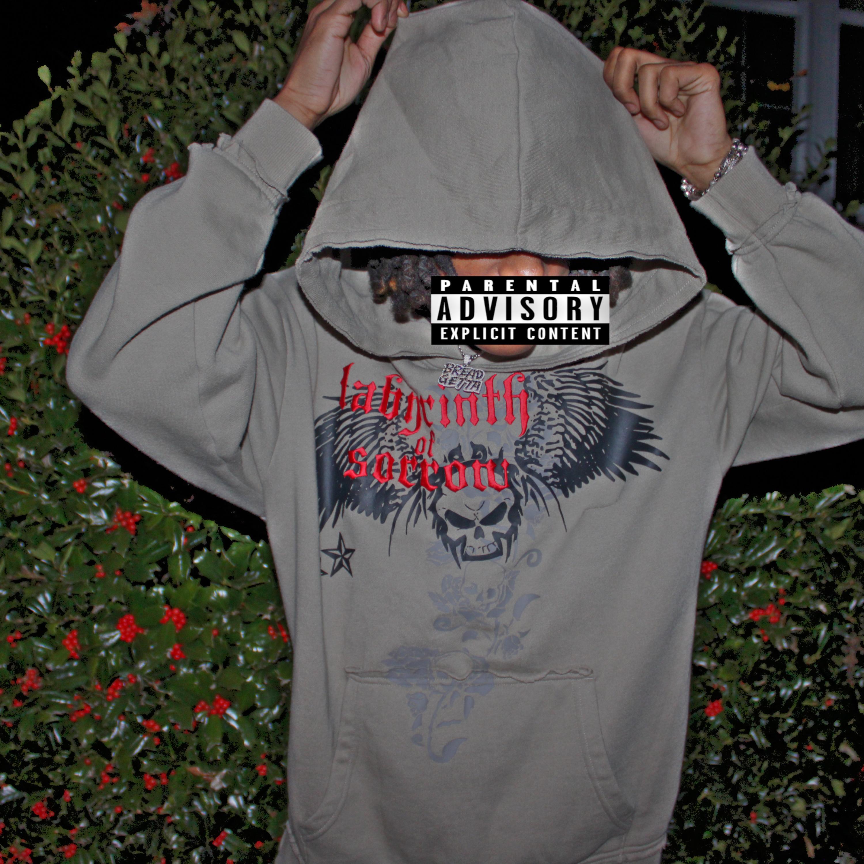 BlingBlingBoy artwork