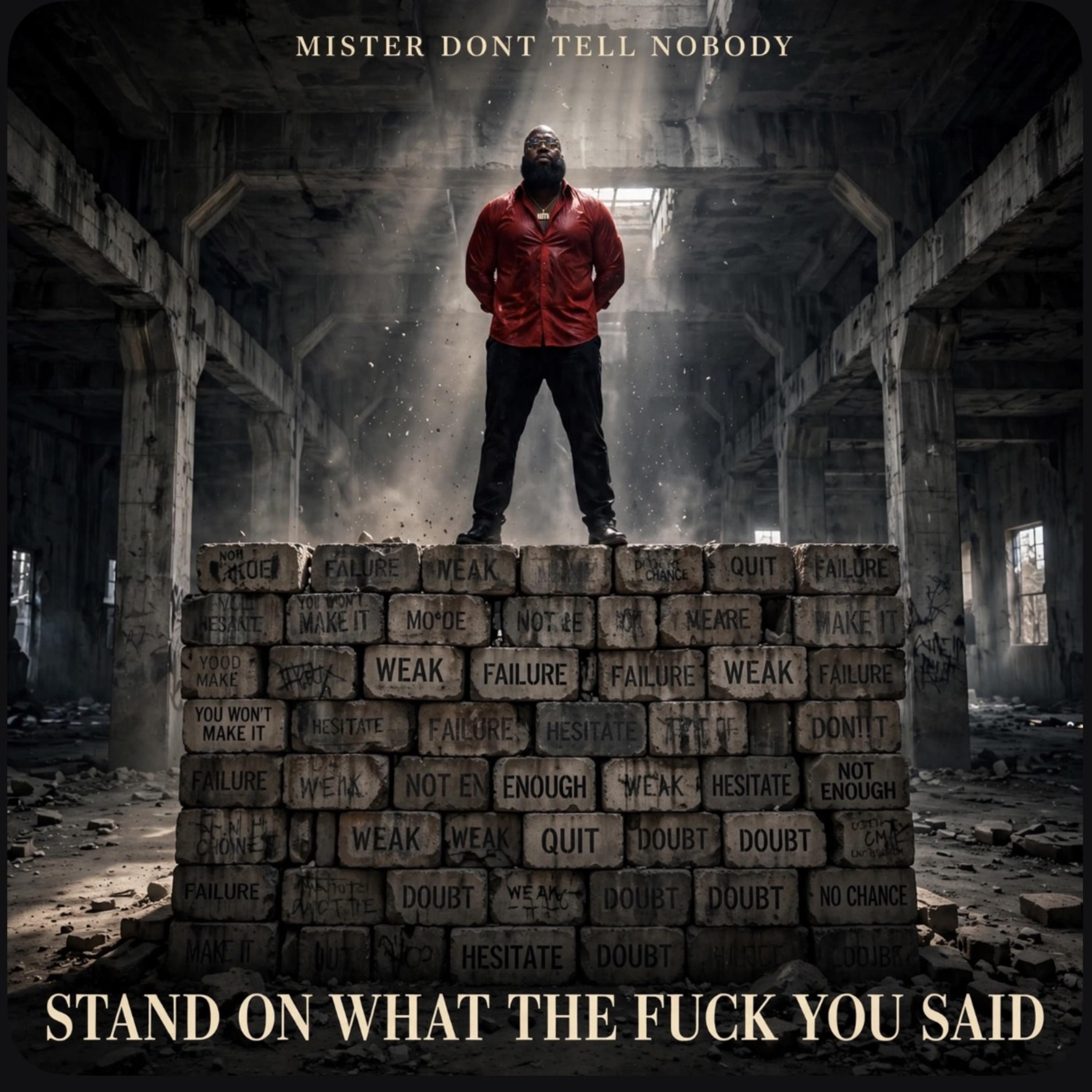 Stand On What The Fuck You Said by Mister Dont Tell nobody cover art