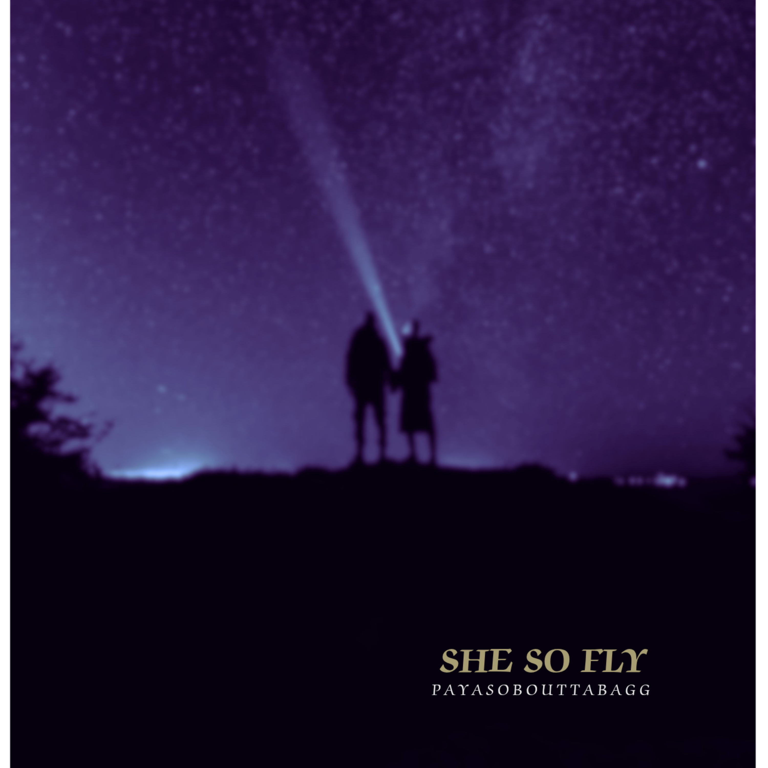 SHE SO FLY artwork