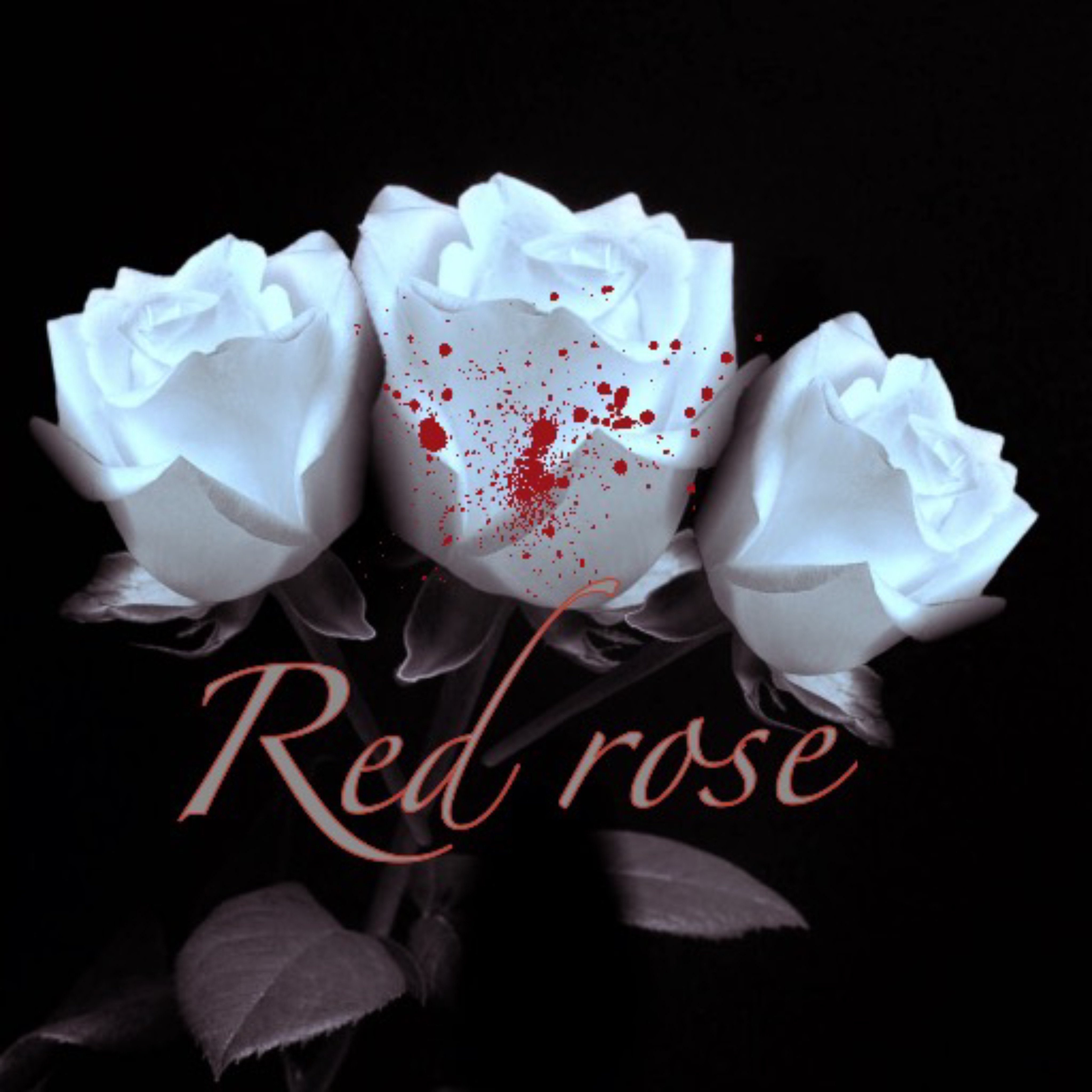 Red rose artwork