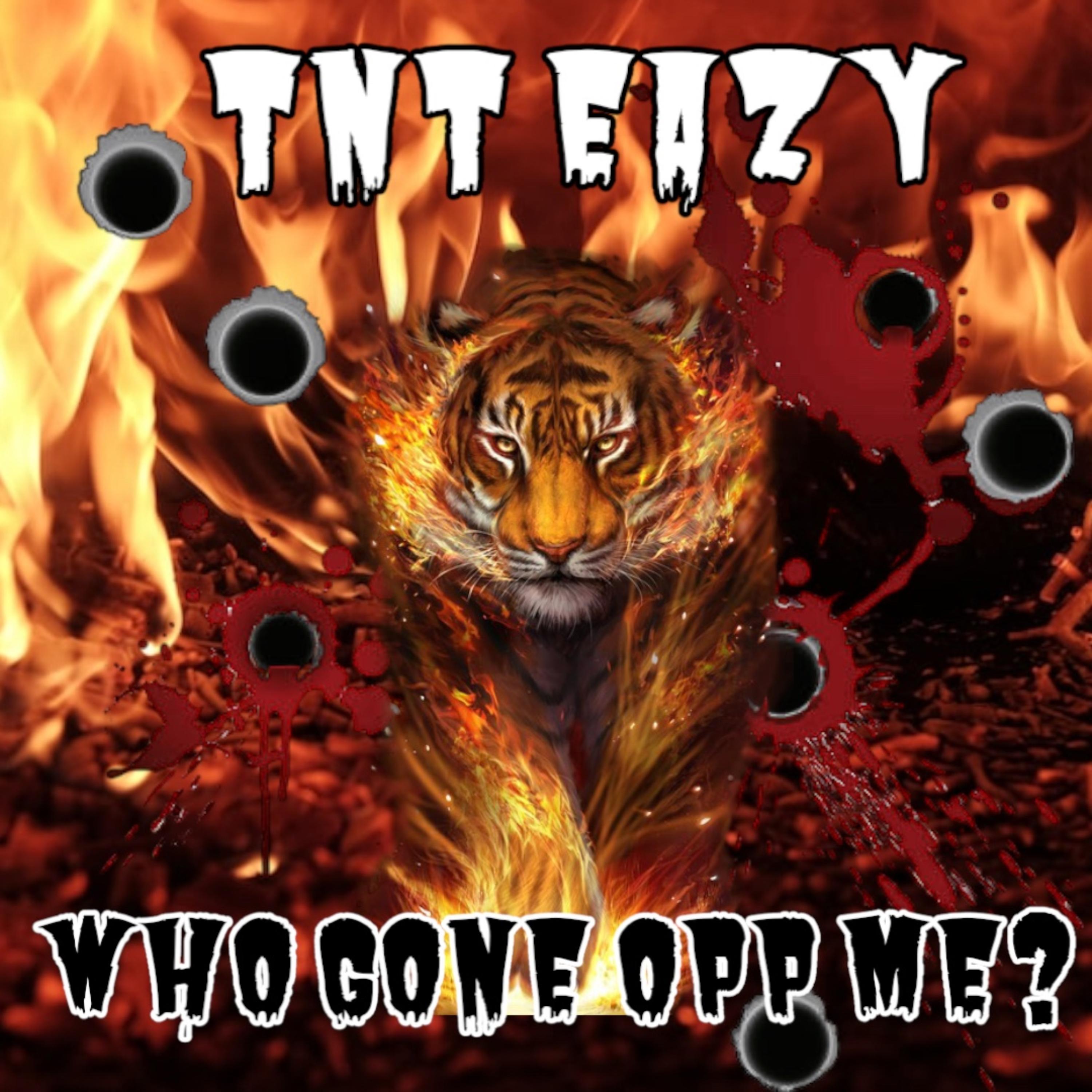 Who Gone Opp Me artwork