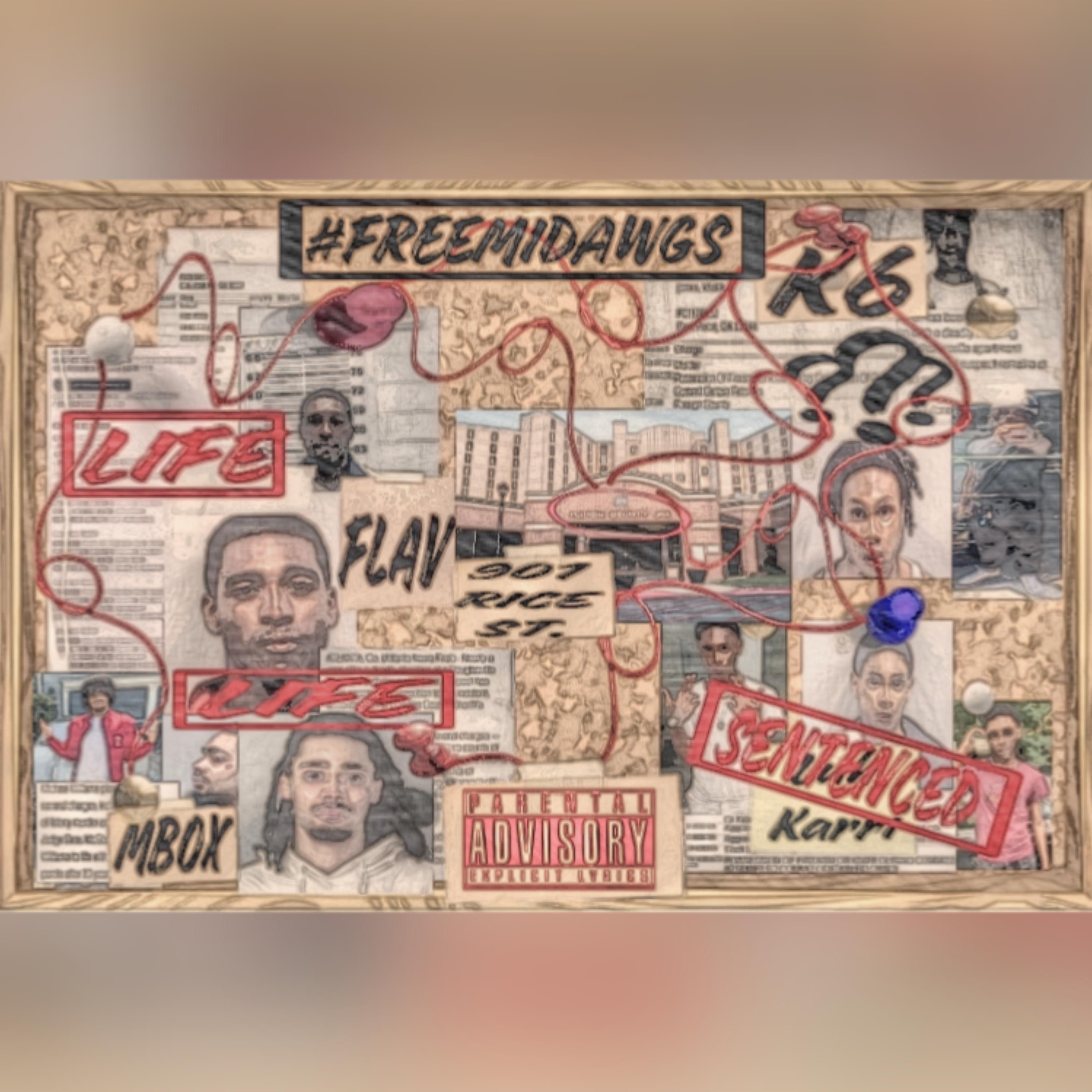 #Freemidawgs artwork