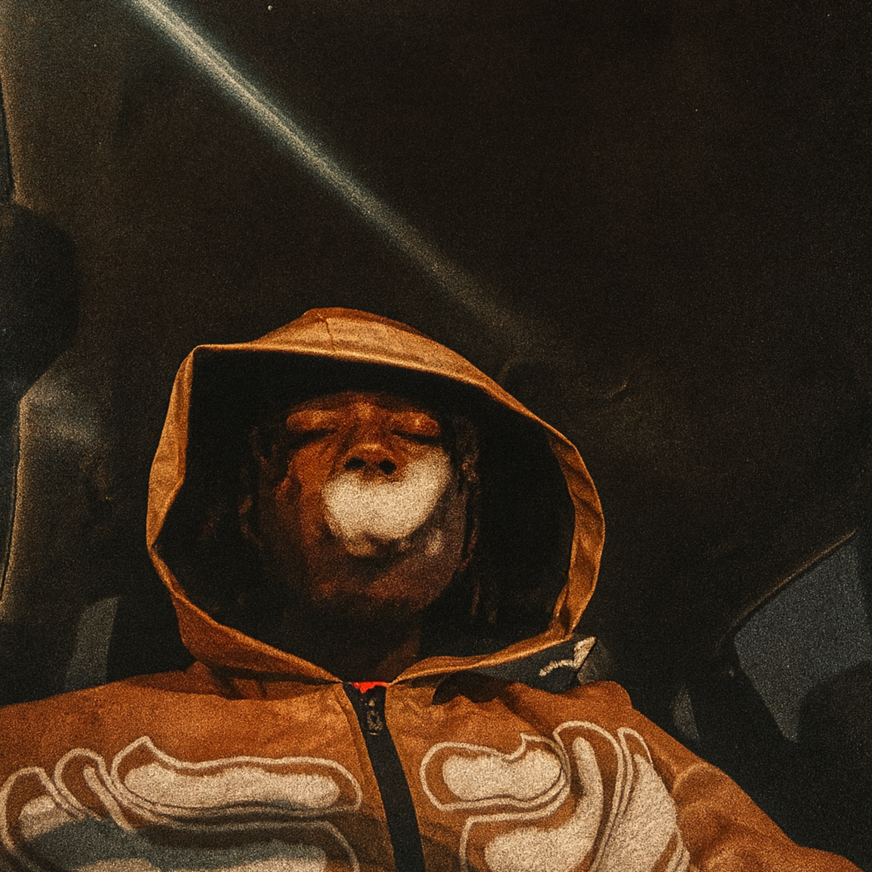 VIBE artwork