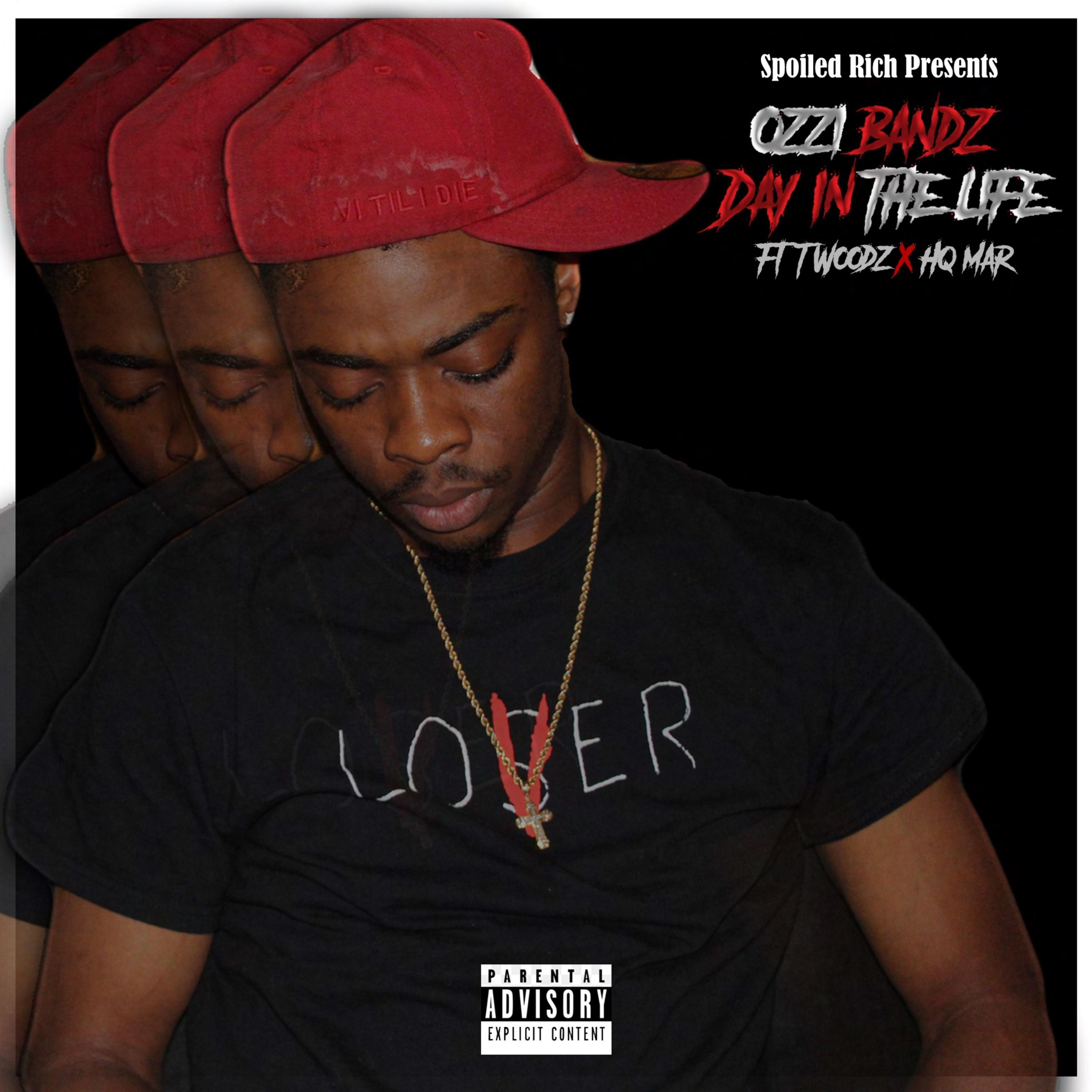 DayInTheLife artwork