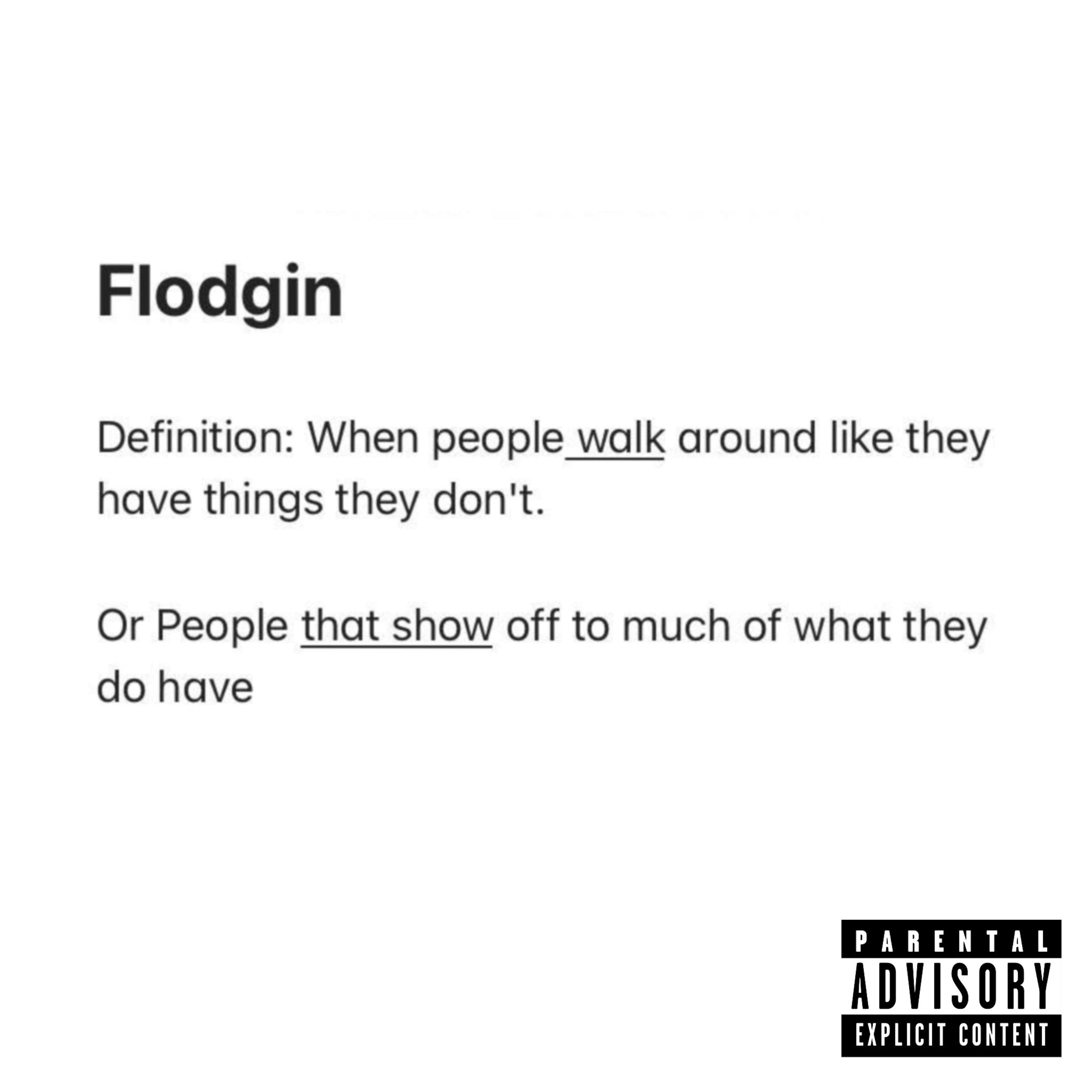 FLODGIN artwork