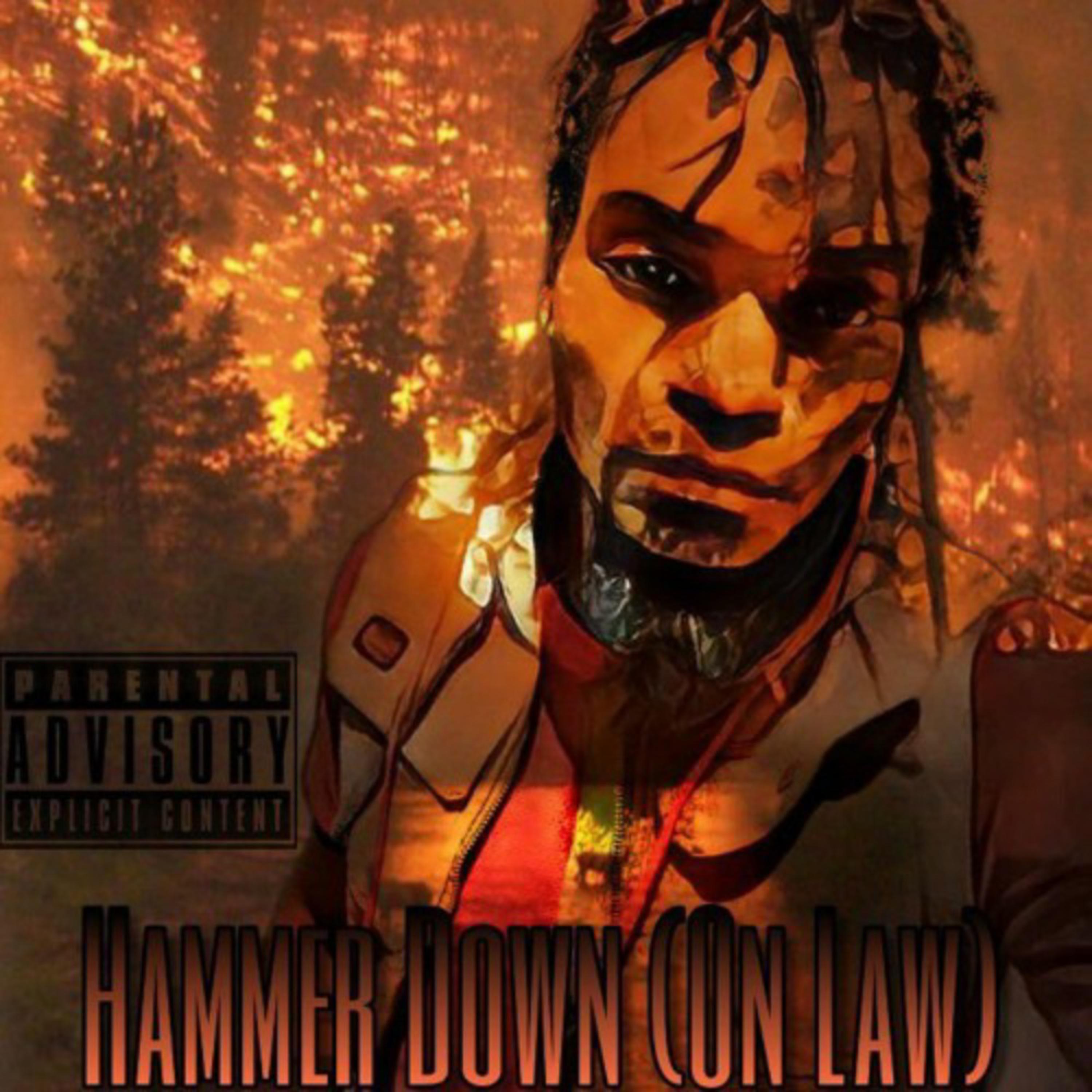 Hammer Down (On Law) artwork