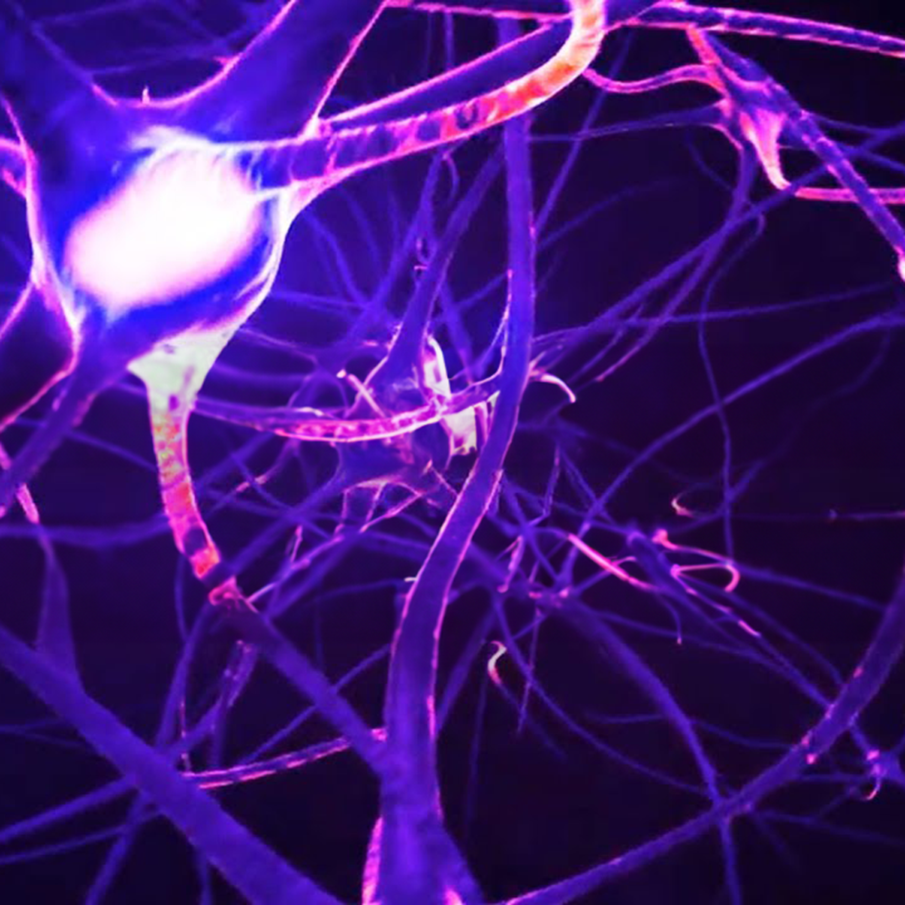 Be Your Most POWERFUL Self Affirmations artwork