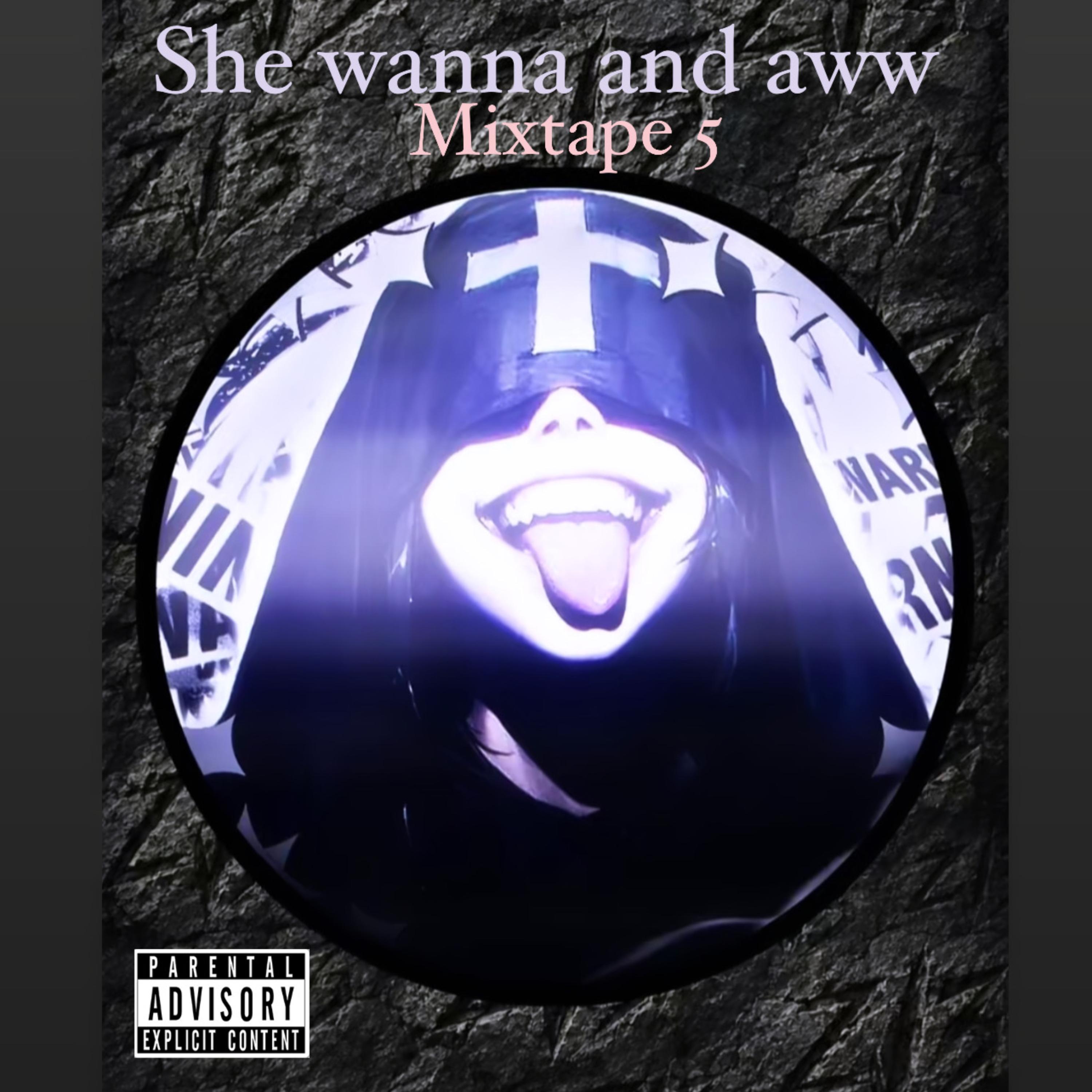 She Wanna And Aww Mixtape 5 by Lost Bamp cover art