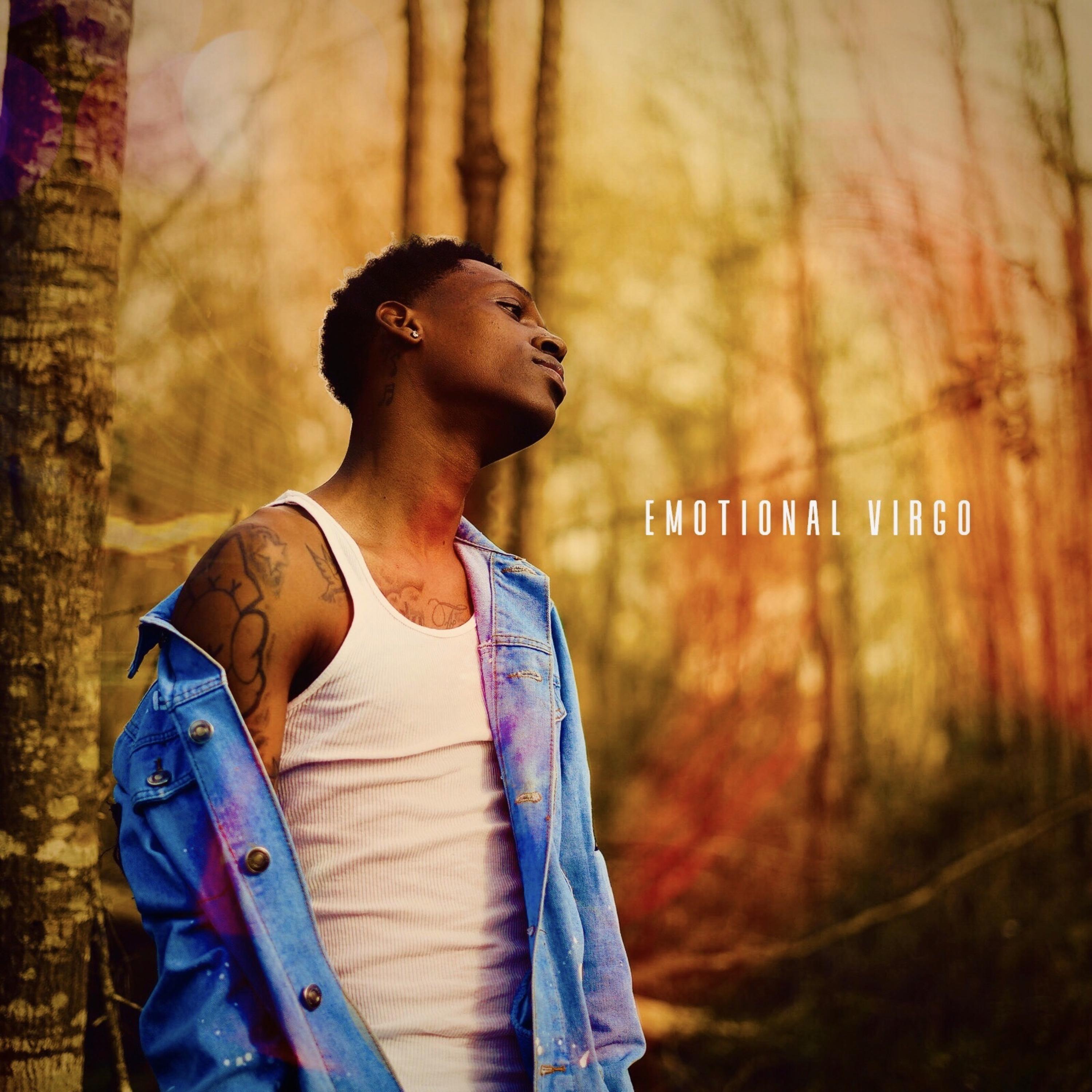 Emotional Virgo artwork