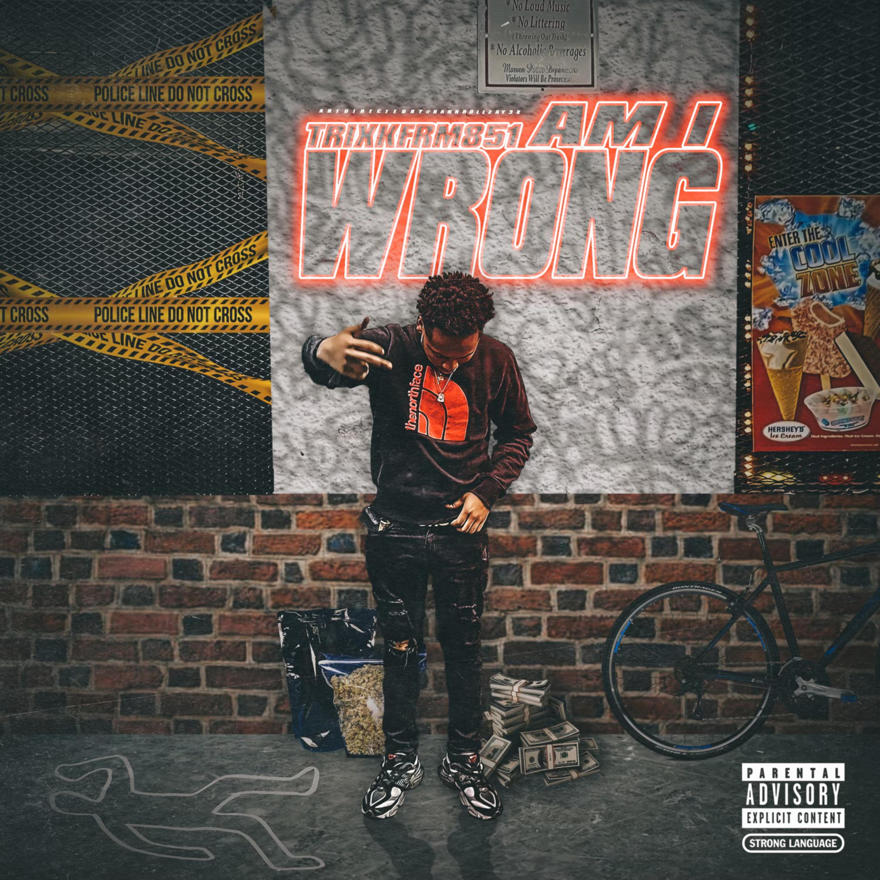 Am I Wrong artwork