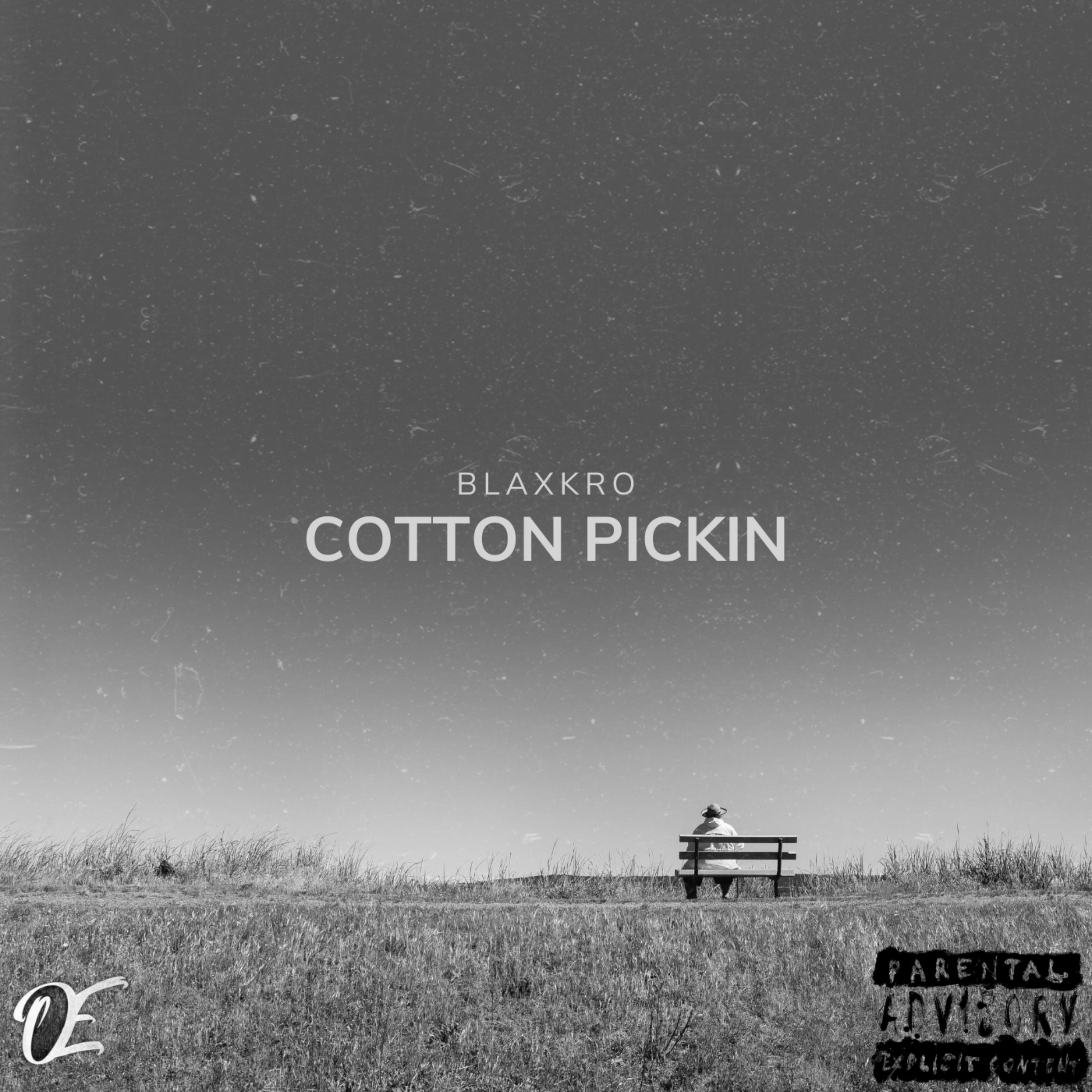Cotton Pickin by BlaxkRo cover art