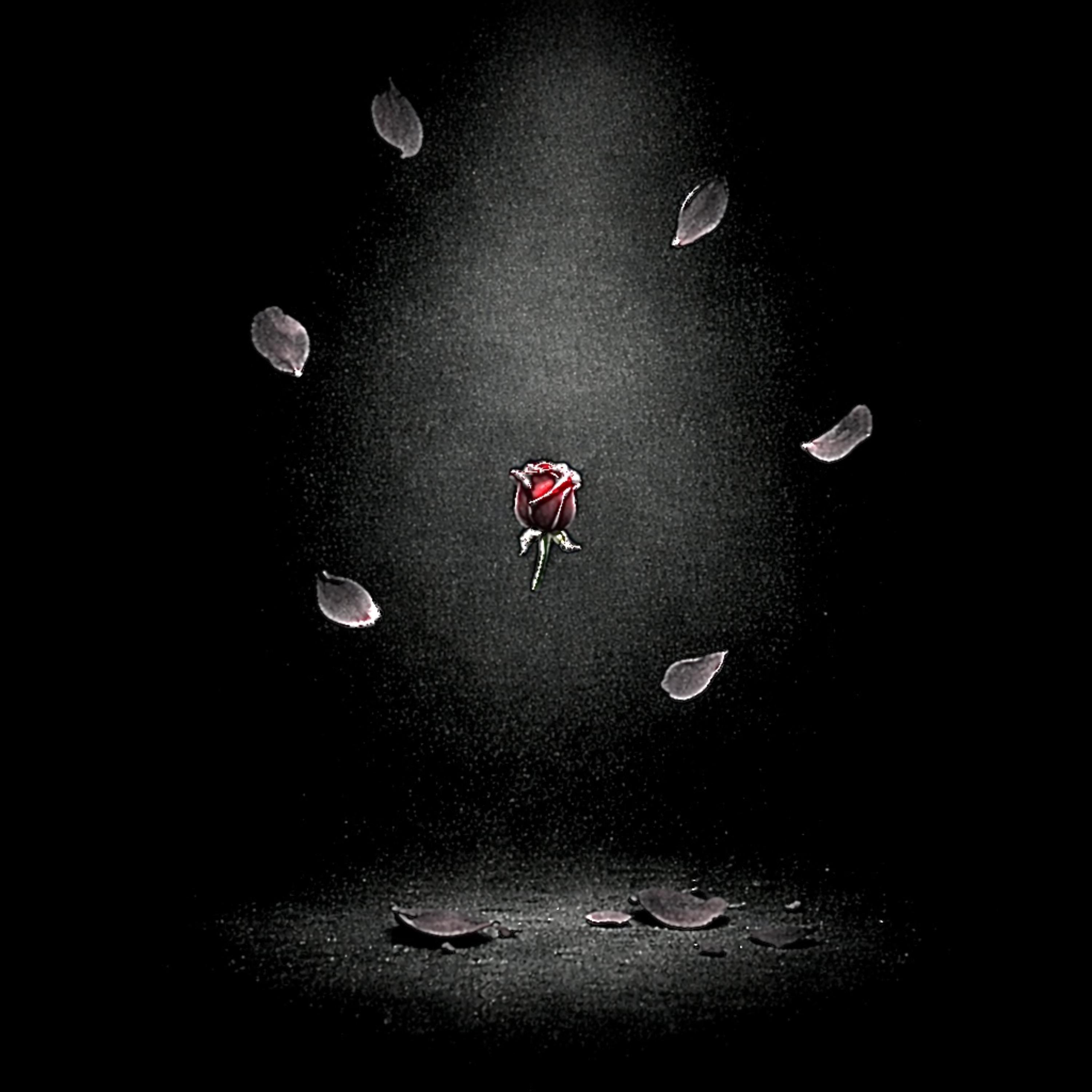 Dead Roses artwork