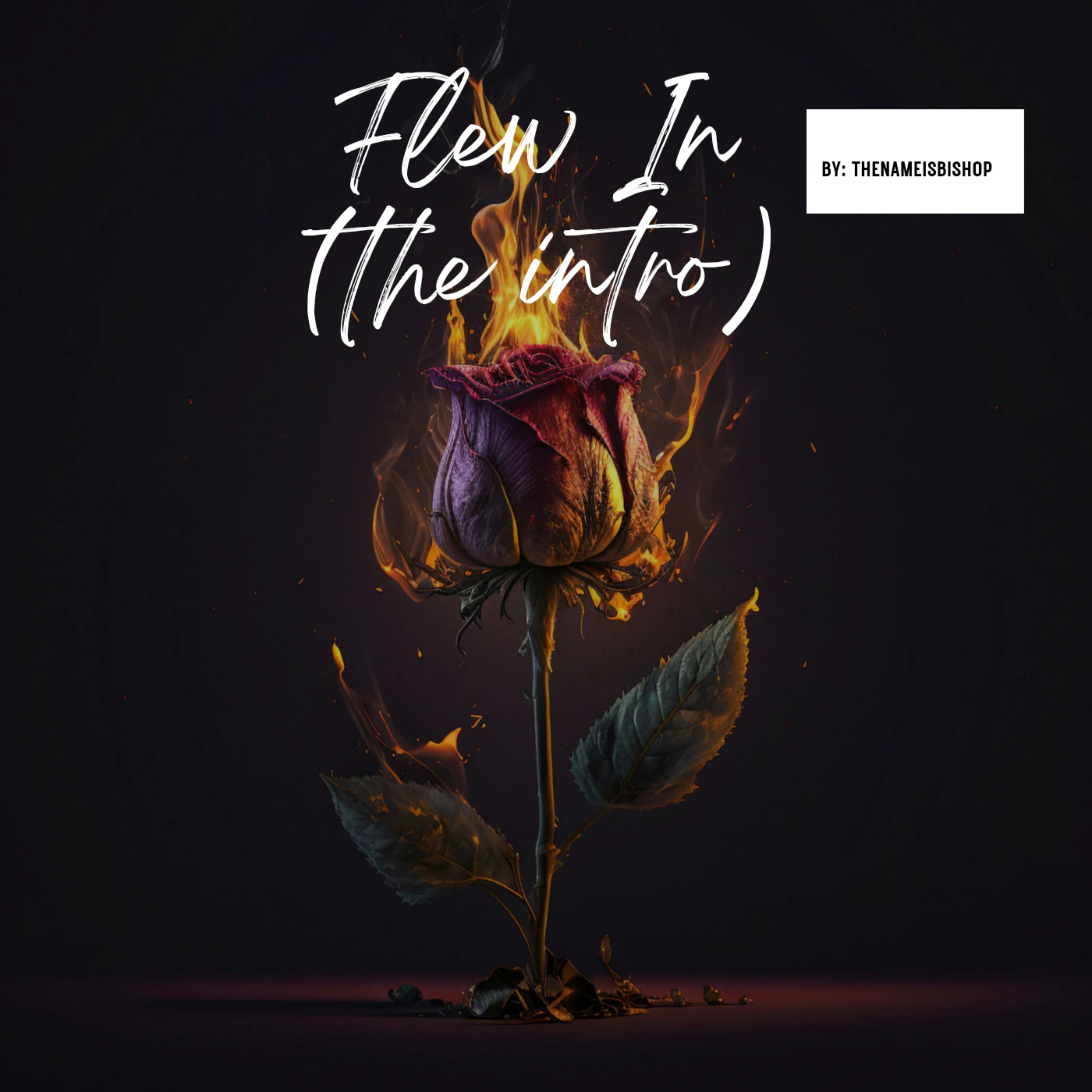 Flew In the intro artwork