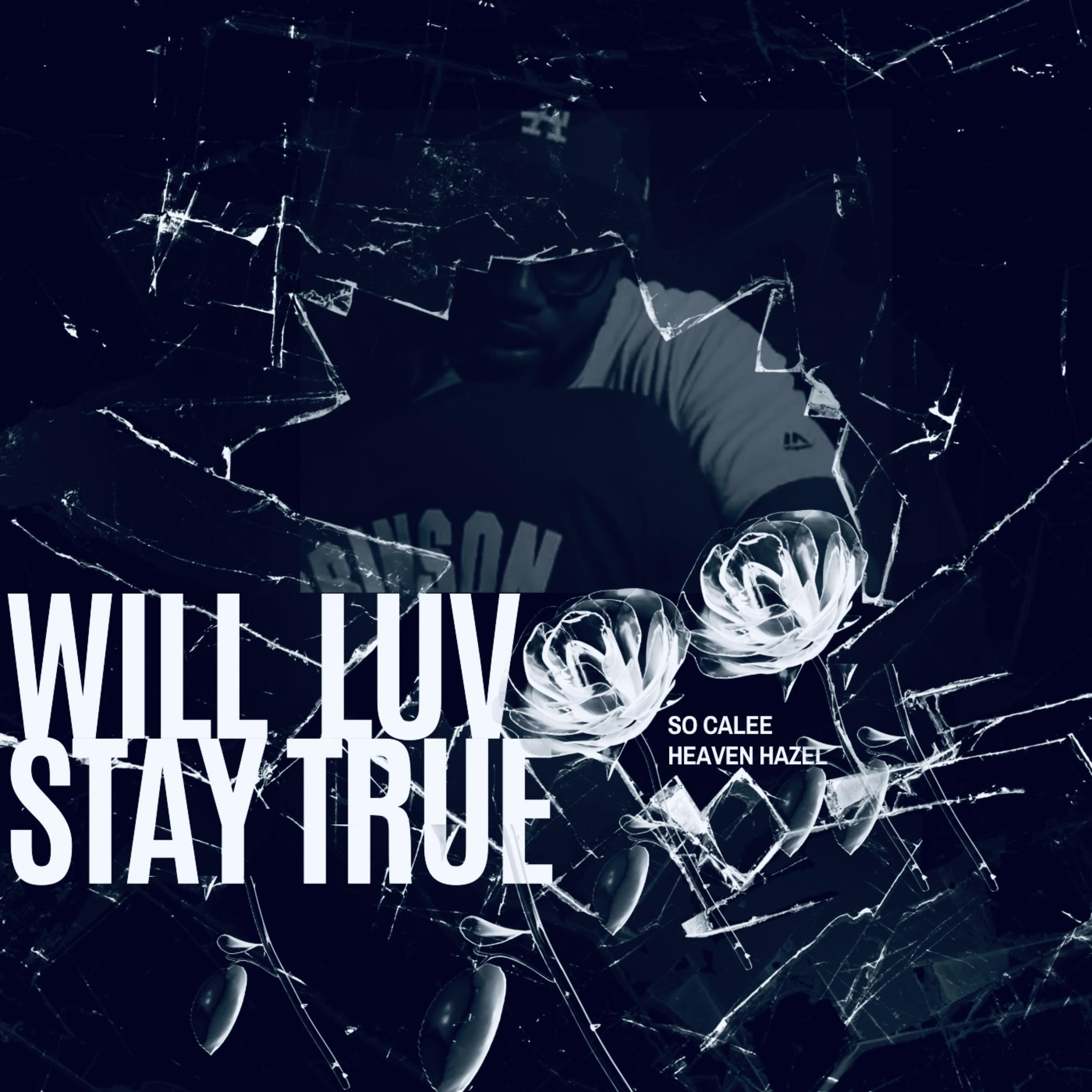 Will Love Stay True artwork