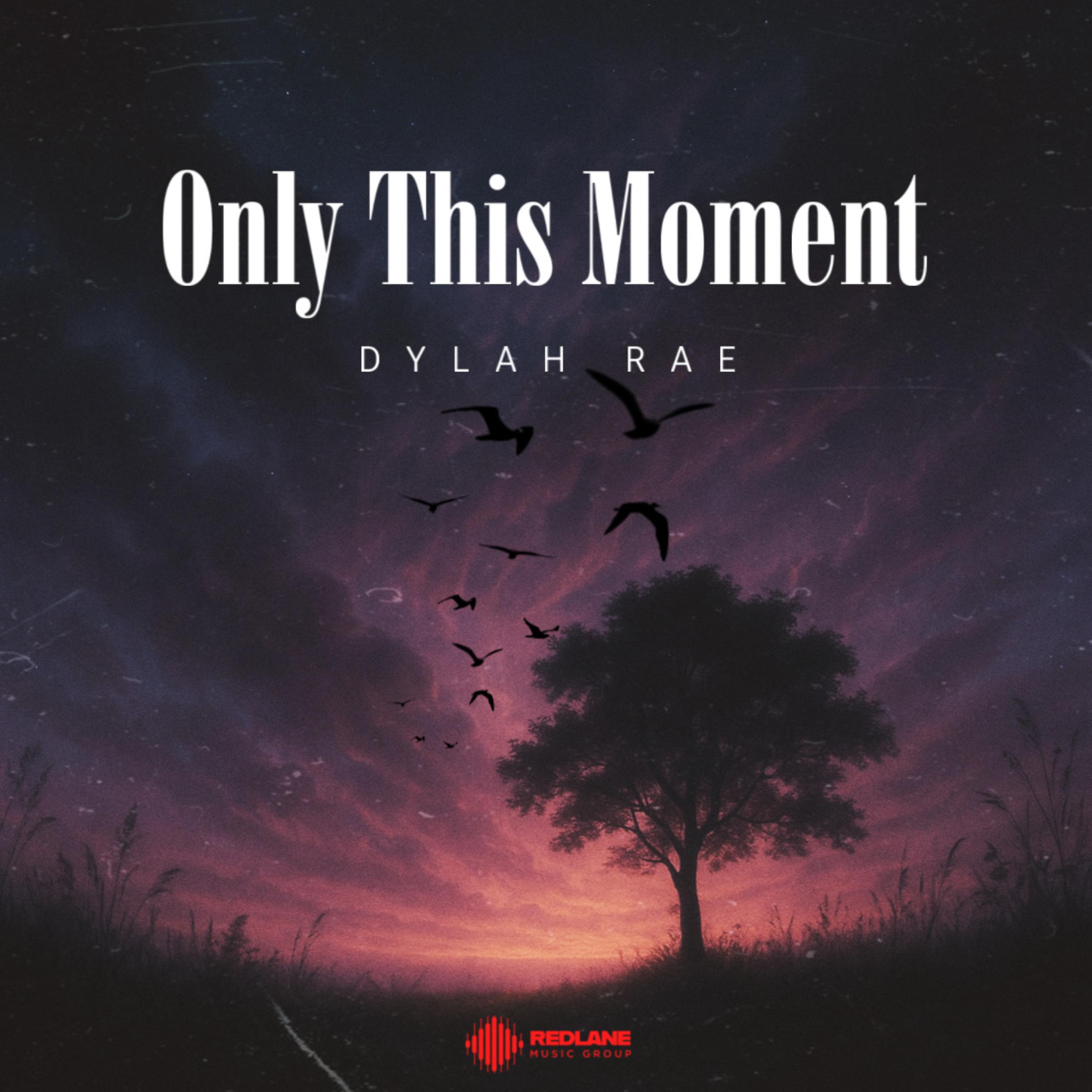 Only This Moment artwork