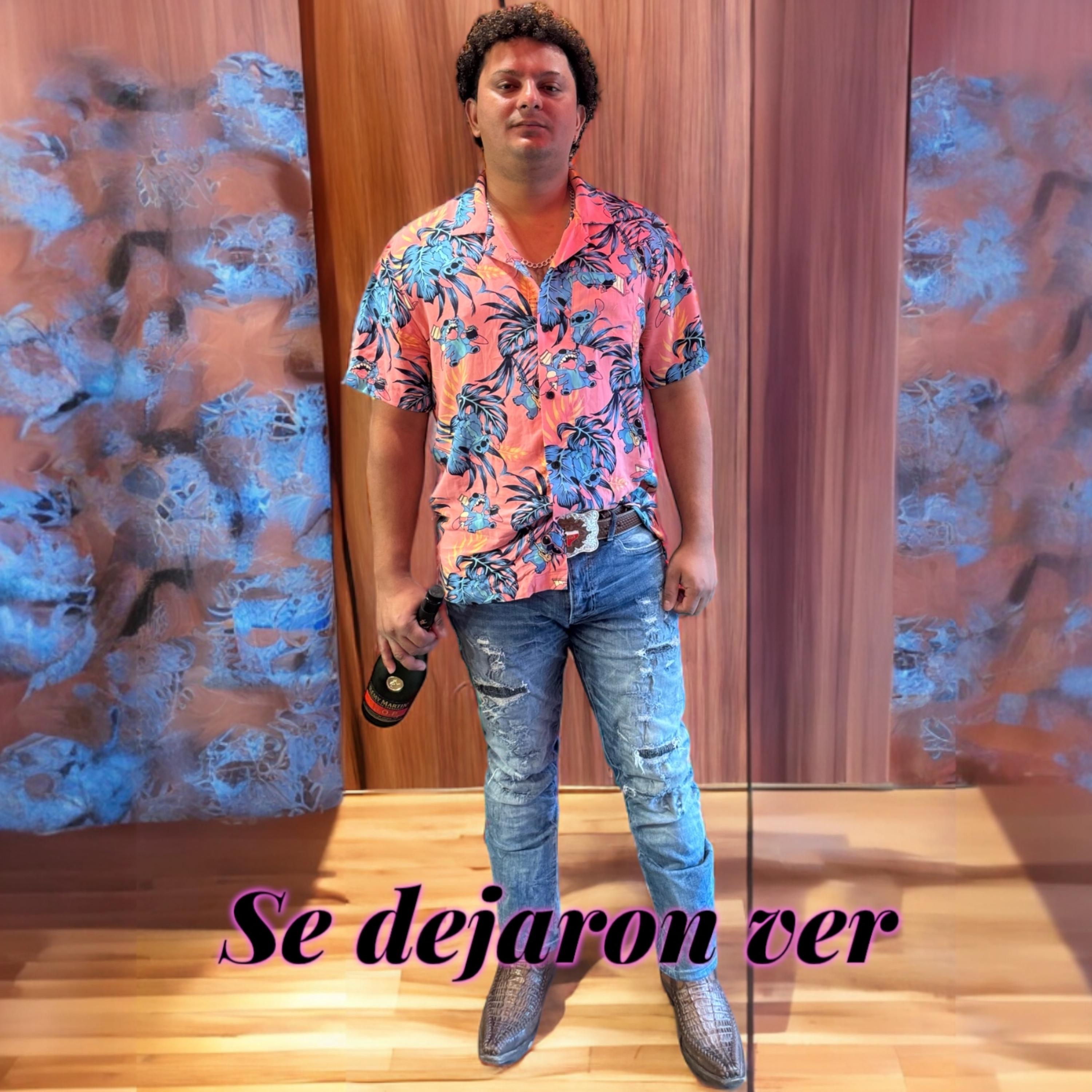 Se dejaron Ver artwork