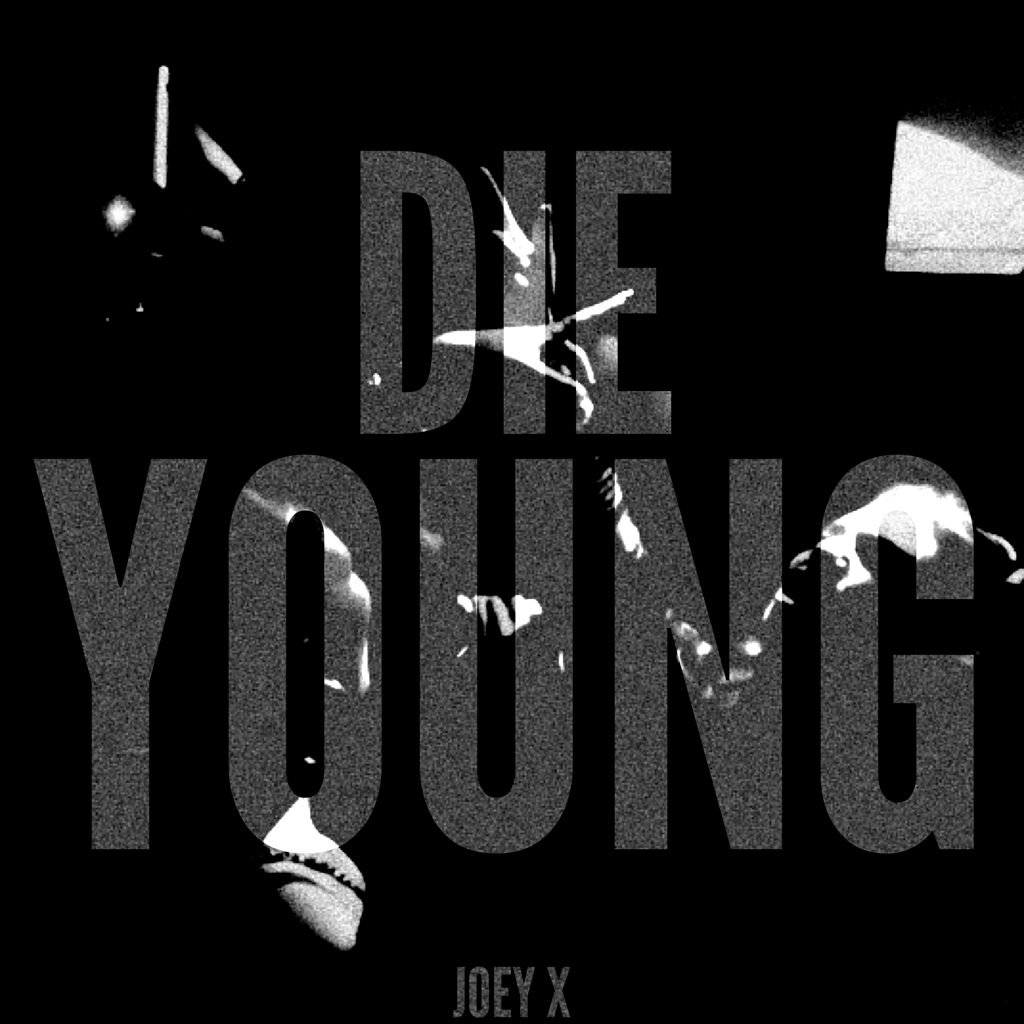 DIE YOUNG artwork