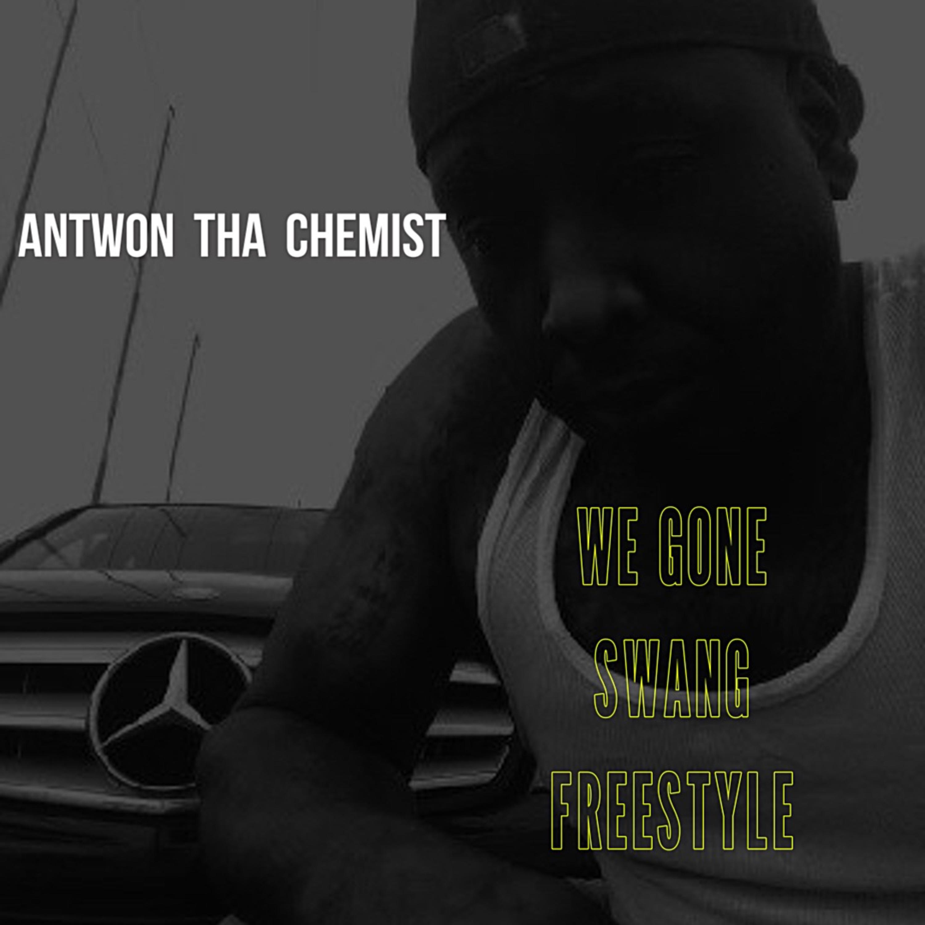 WeGoneSwangFreestyle artwork
