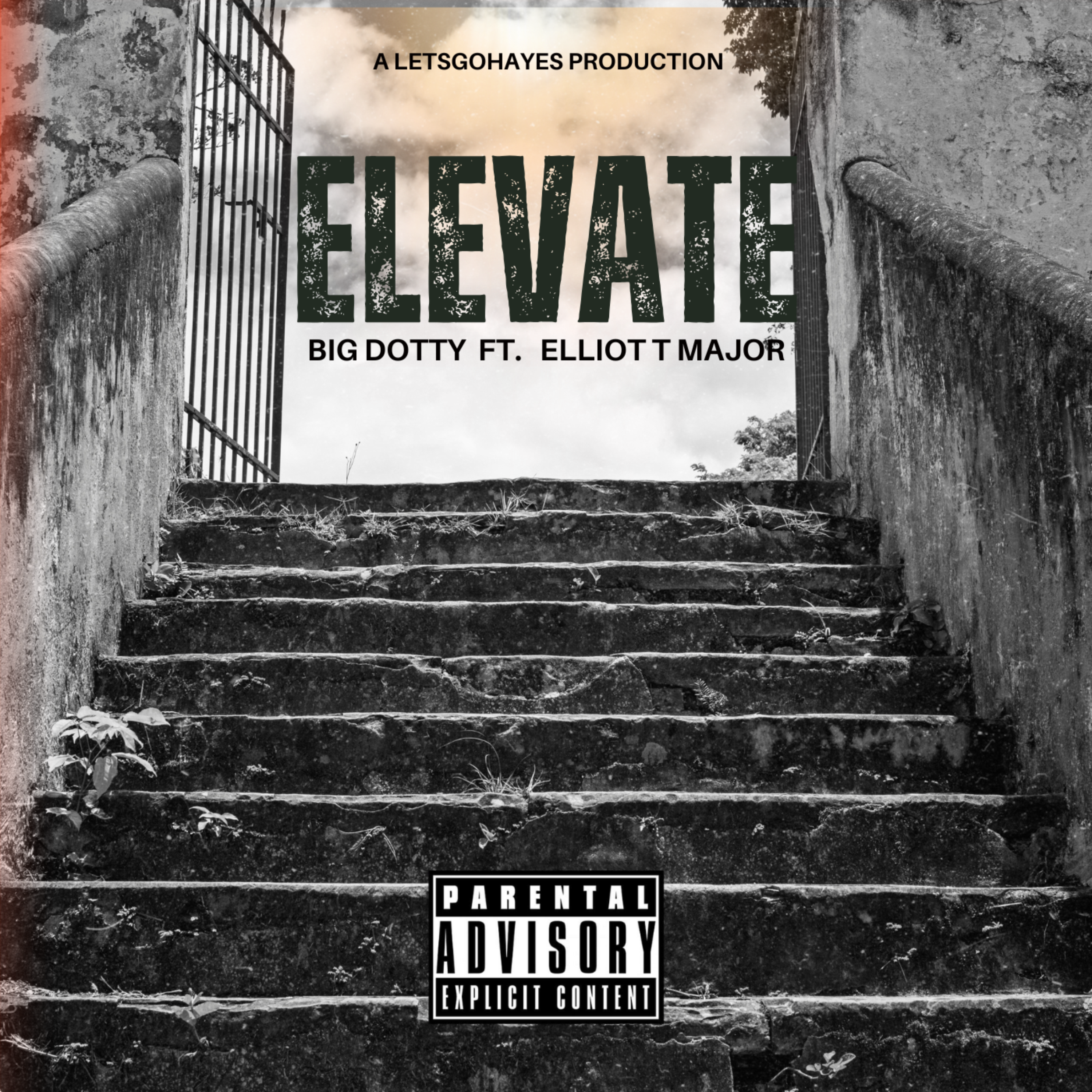 Elevate artwork