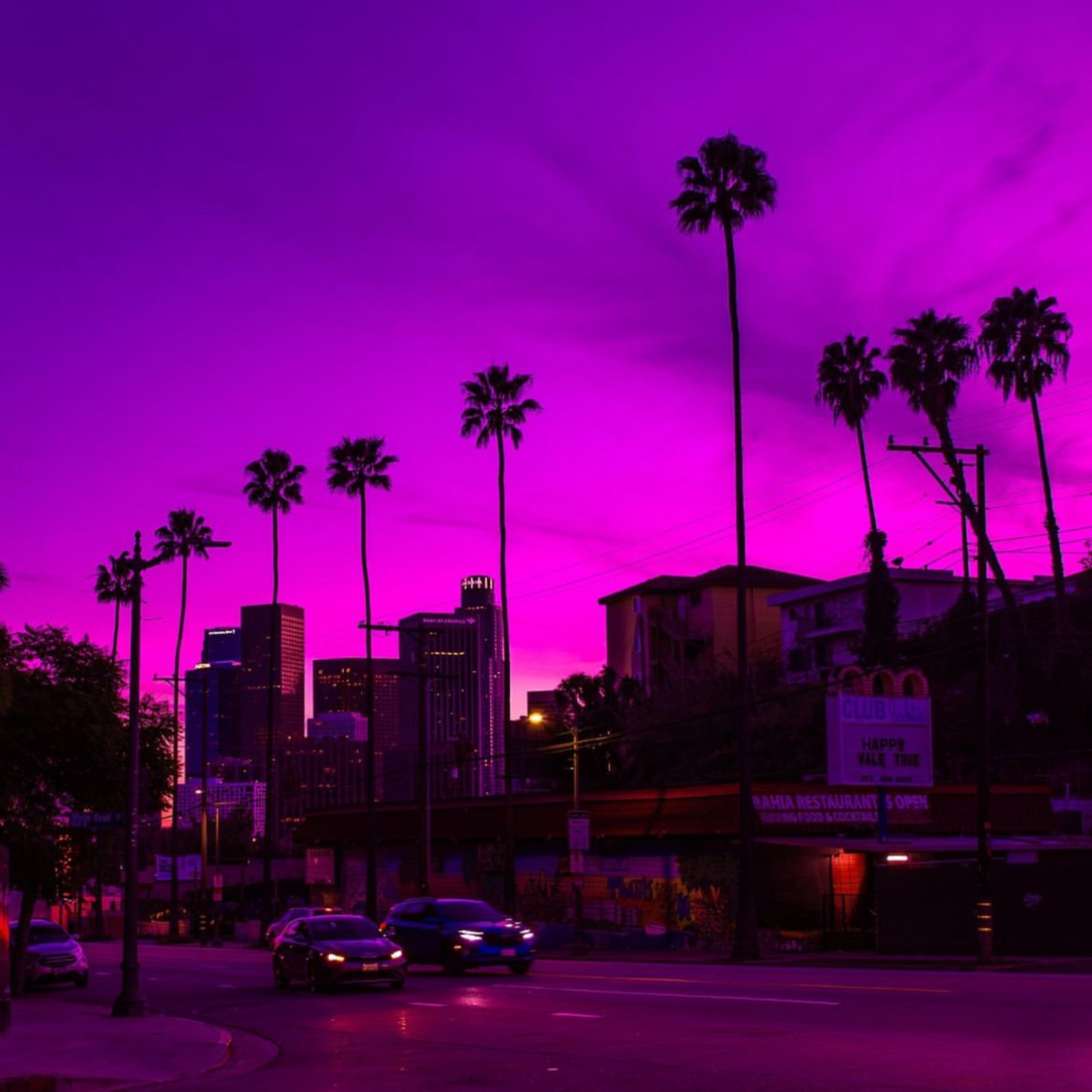 Malibu Sunsets artwork