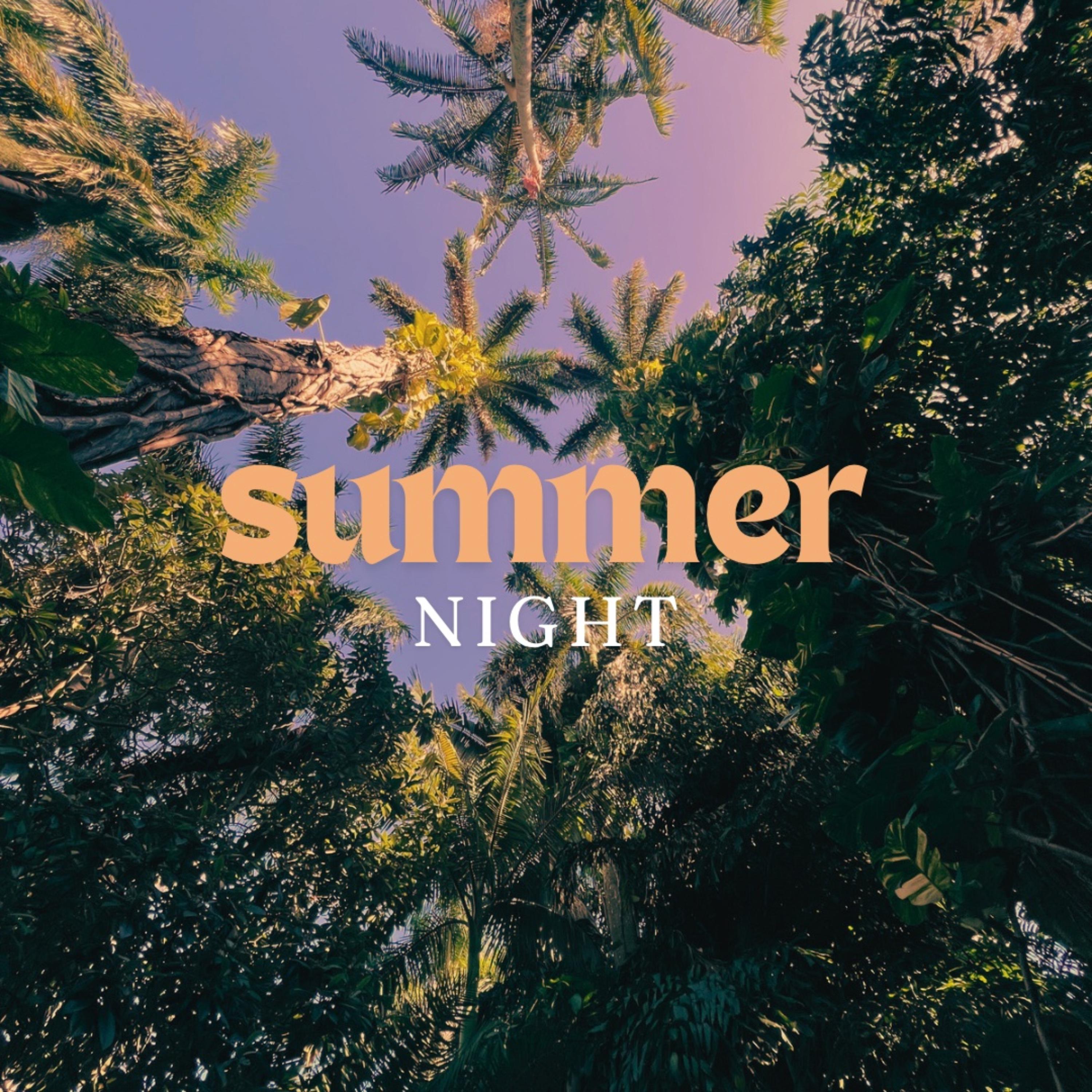 Summer Night artwork