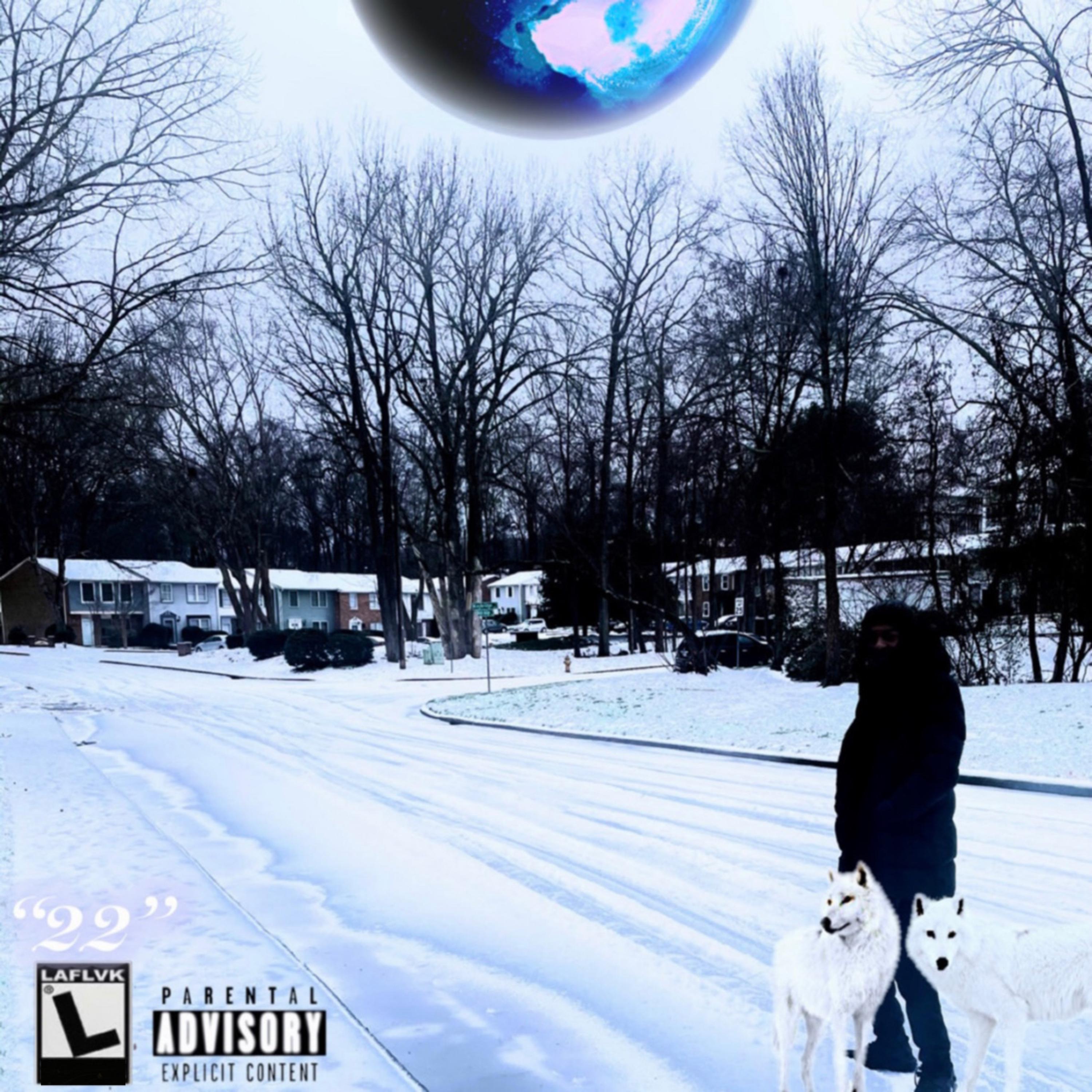 22 artwork