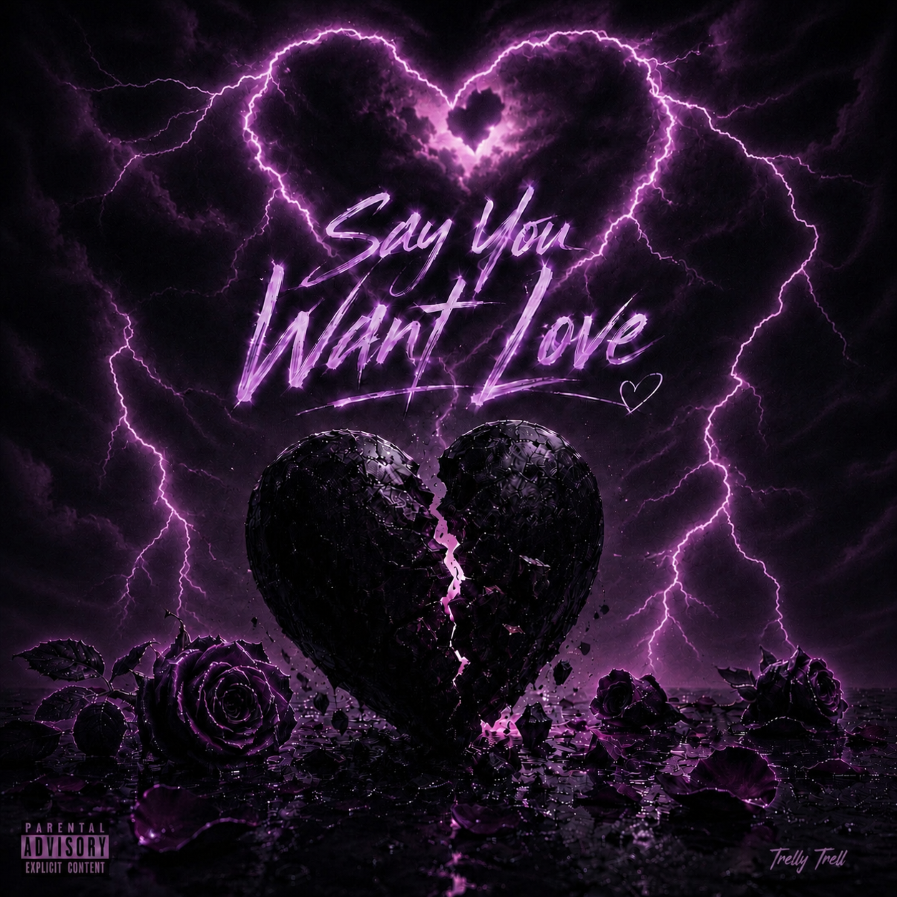 Say You Want Love by Trelly Trell cover art