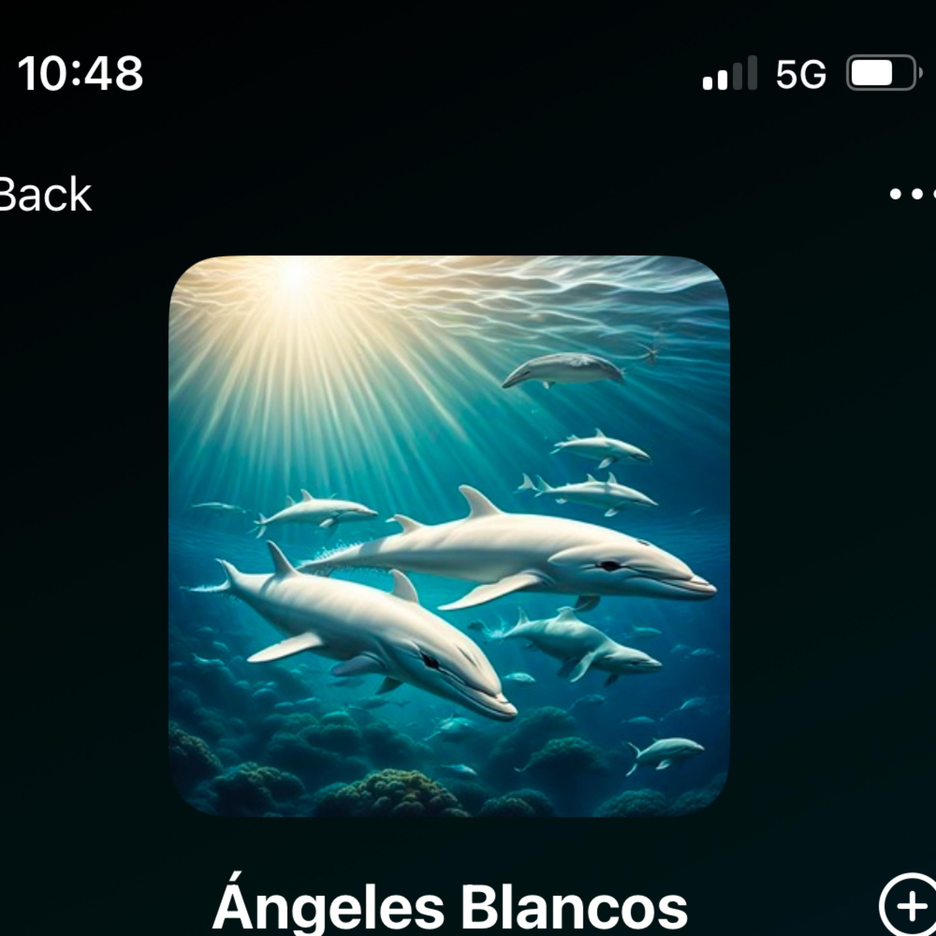 Angeles Blancos artwork